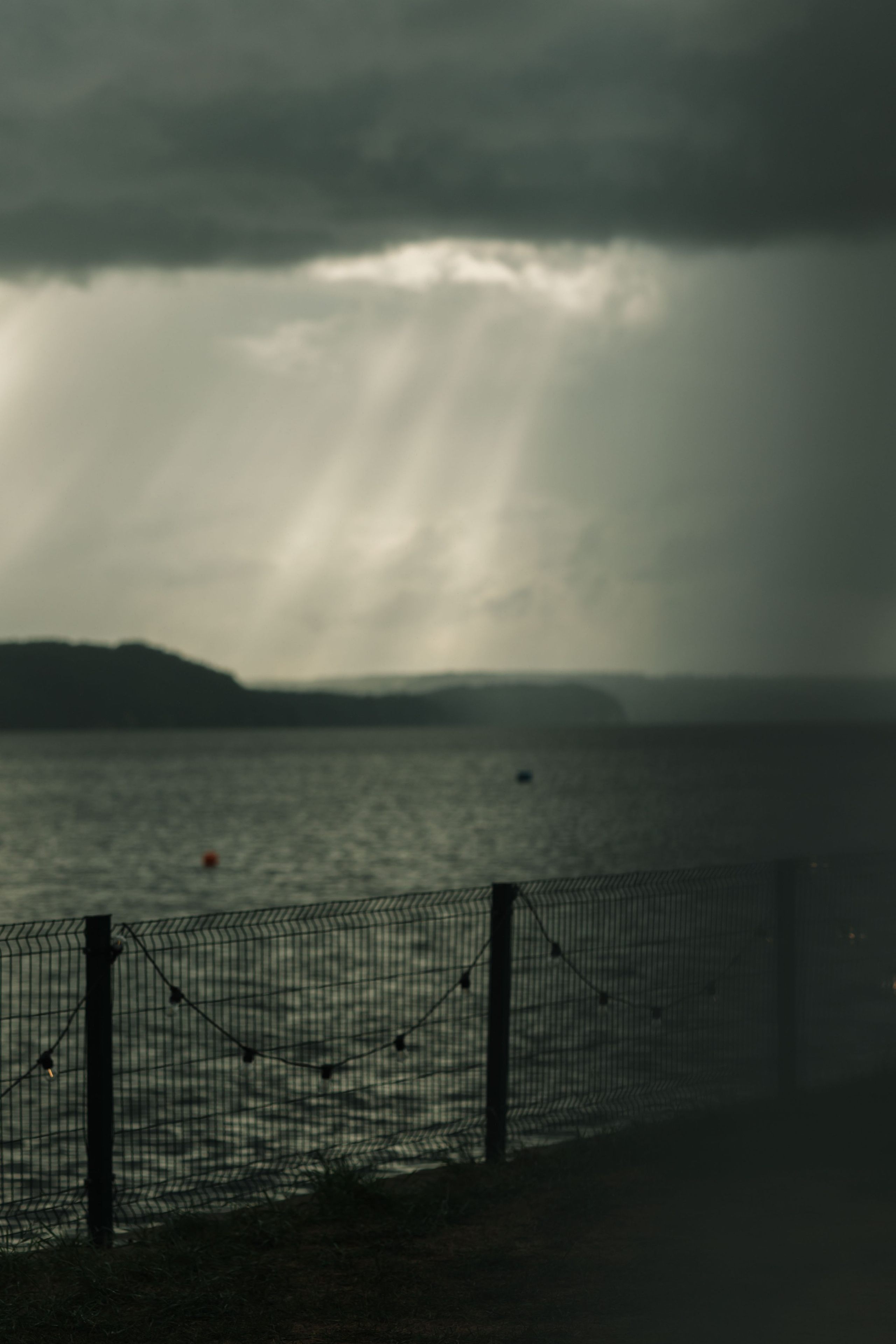 Вита и Саша. Свадебный и семейный фотограф в Перми Лилия Гатауллина