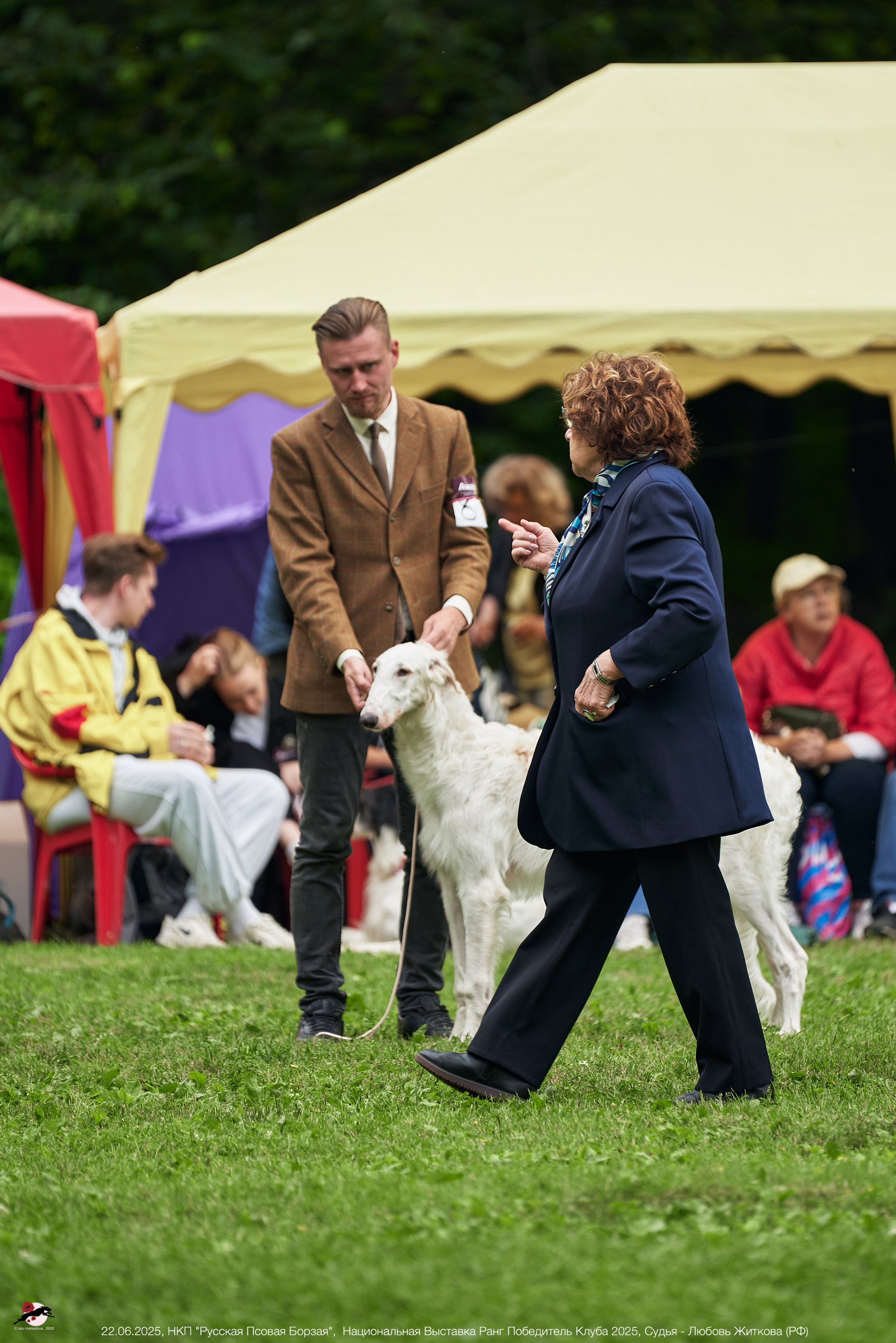 22.06.2025 | Национальная Выставка НКП "Русская Псовая Борзая"