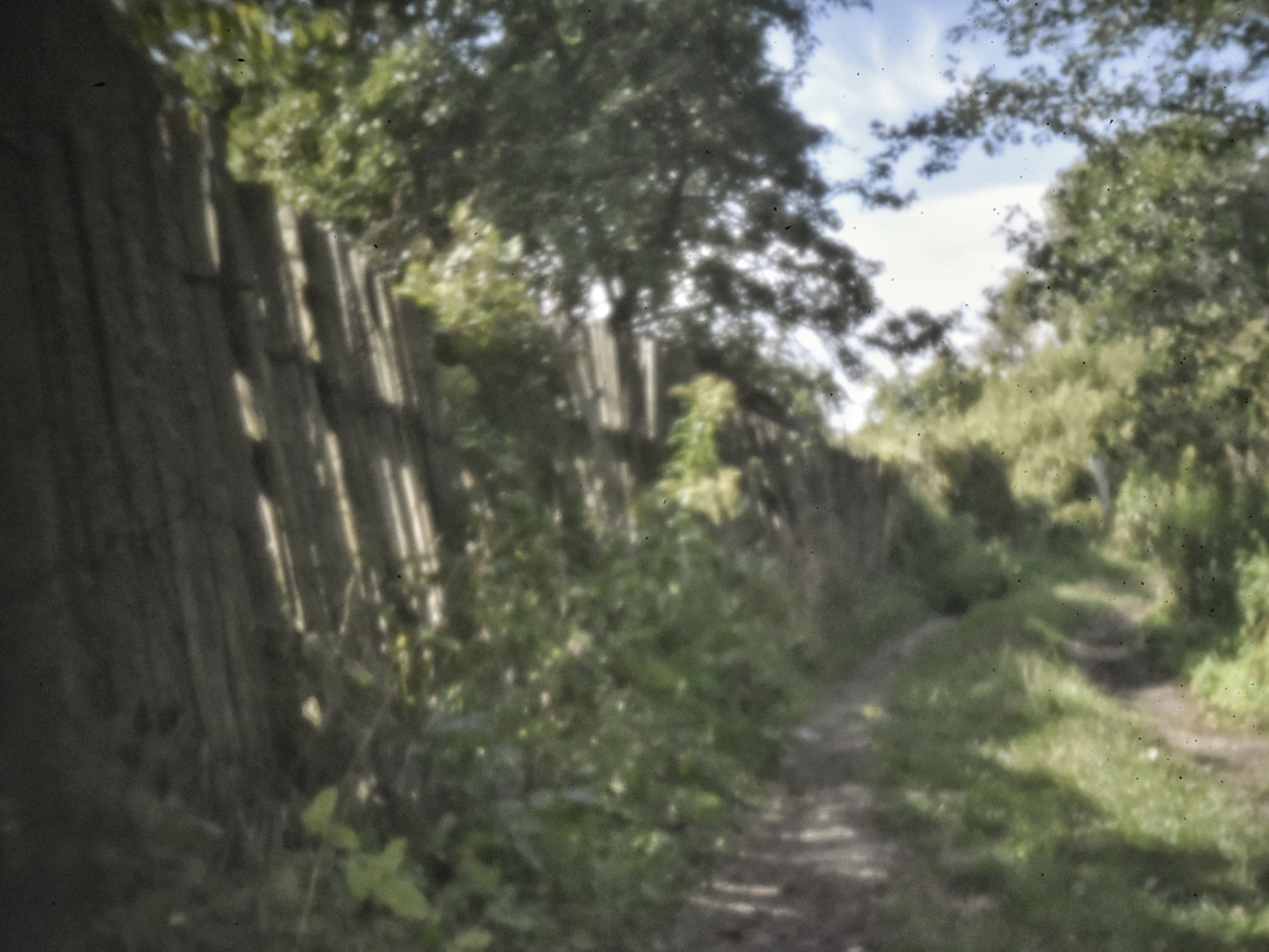 Пинхол или как снимать без объектива. То ещё портфолио