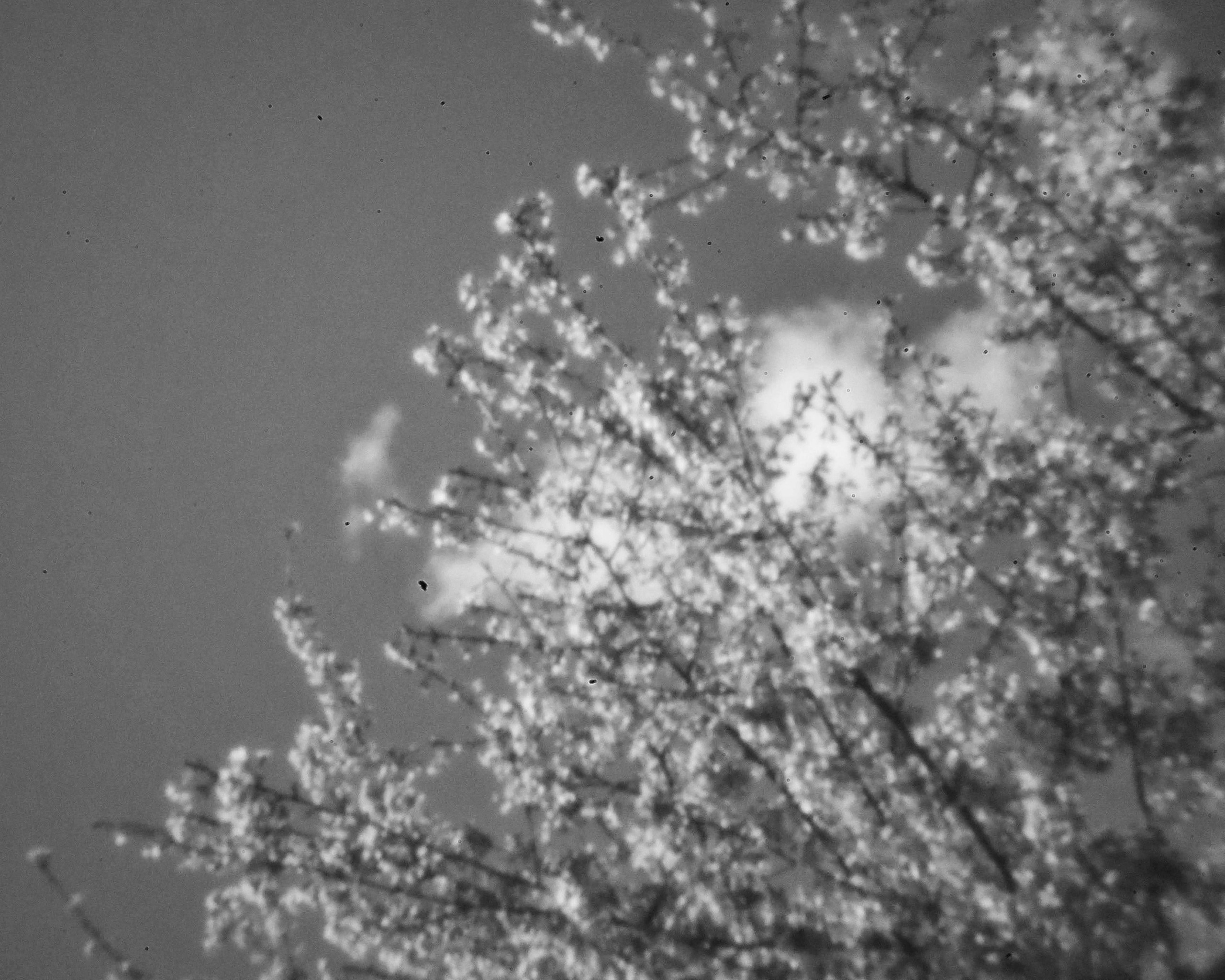 Пинхол или как снимать без объектива. То ещё портфолио