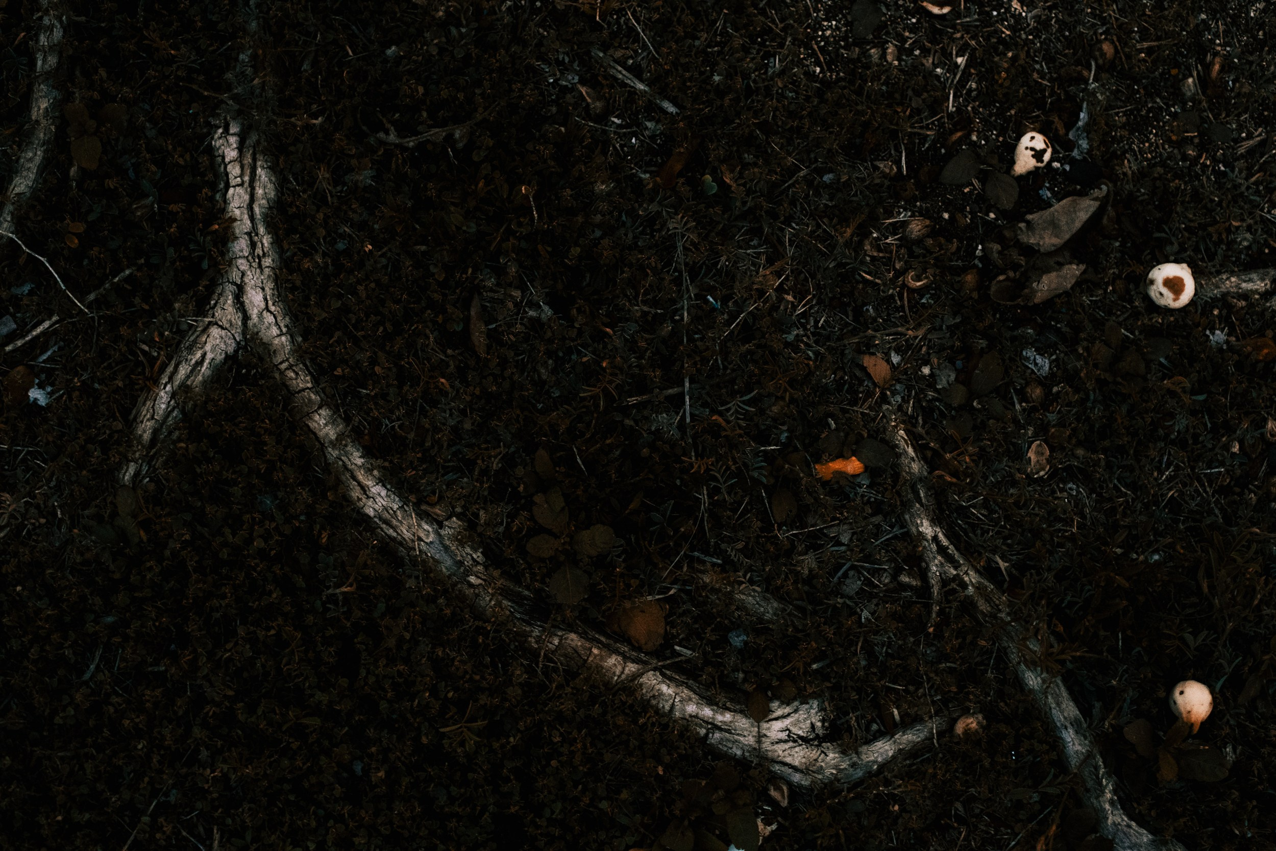 Mi Hija Mexicana. Margarita Rodionova — a contemporary lens-based artist currently working in Cancun, Mexico