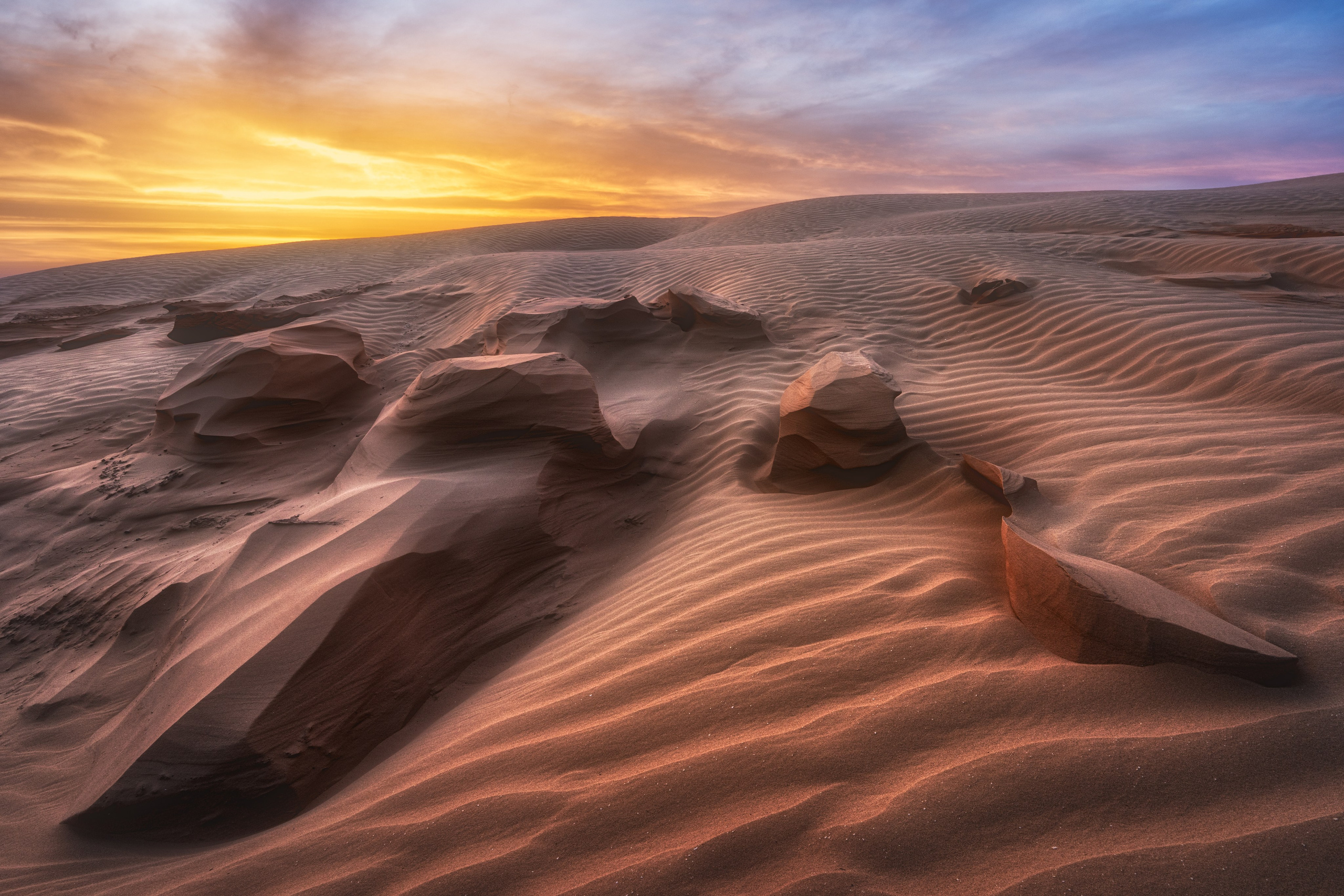 Барханы и лотосы. Июль–Август