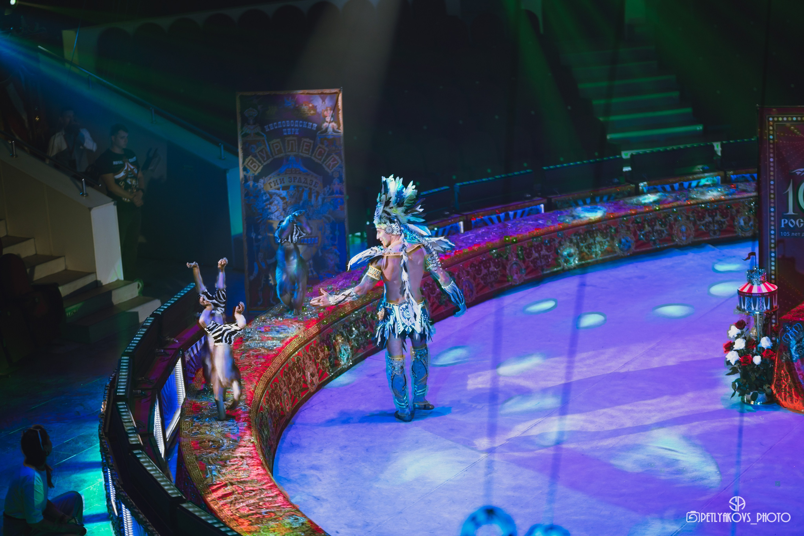 Пресс-конференция циркового шоу Гии Эрадзе «Бурлеск» (репортаж). Фотограф, видеограф Пятигорск, Ставрополь, Ессентуки, Petlyakovs_photo