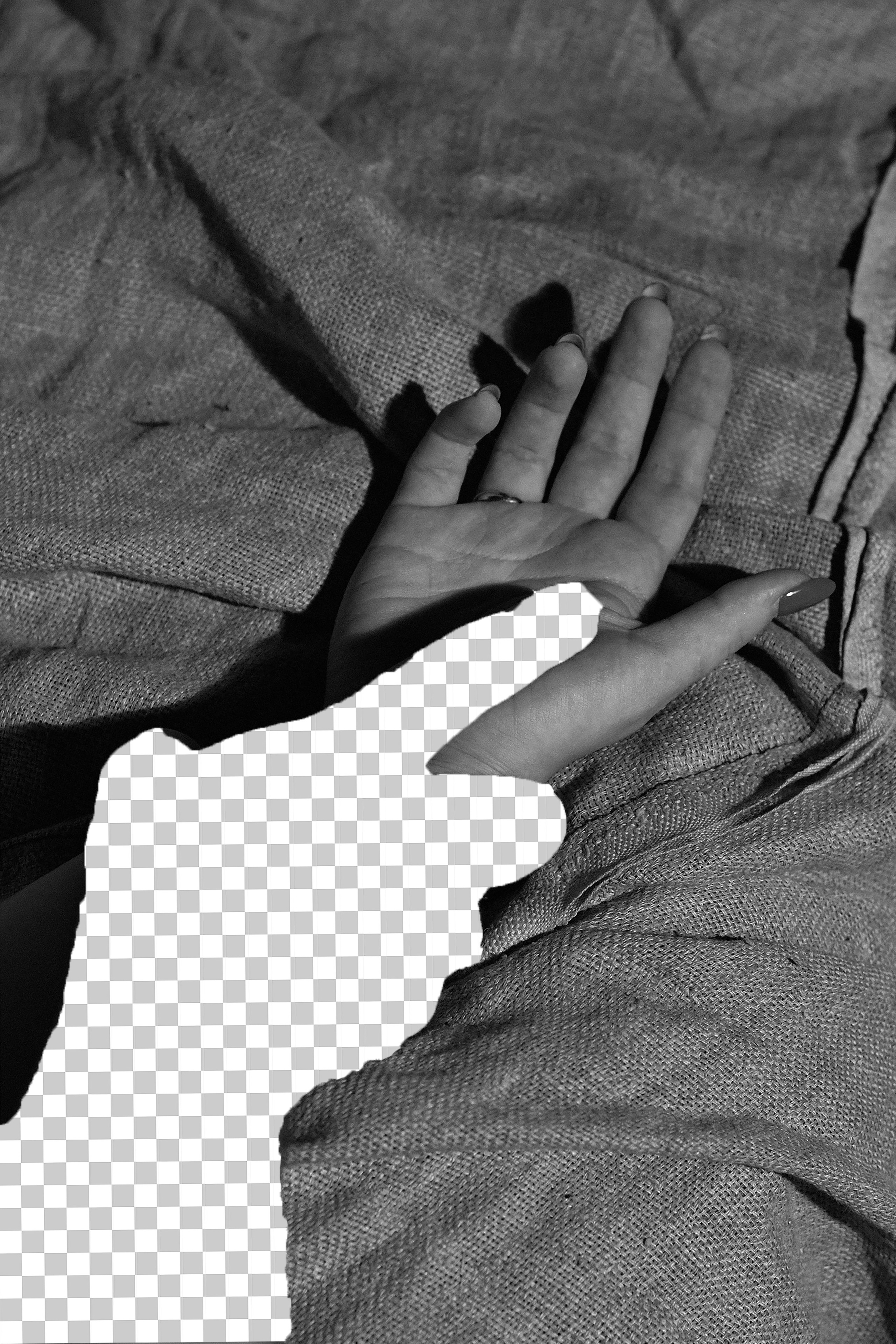 Эффект присутствия. Козлова Екатерина. Междисциплинарная визуальная художница