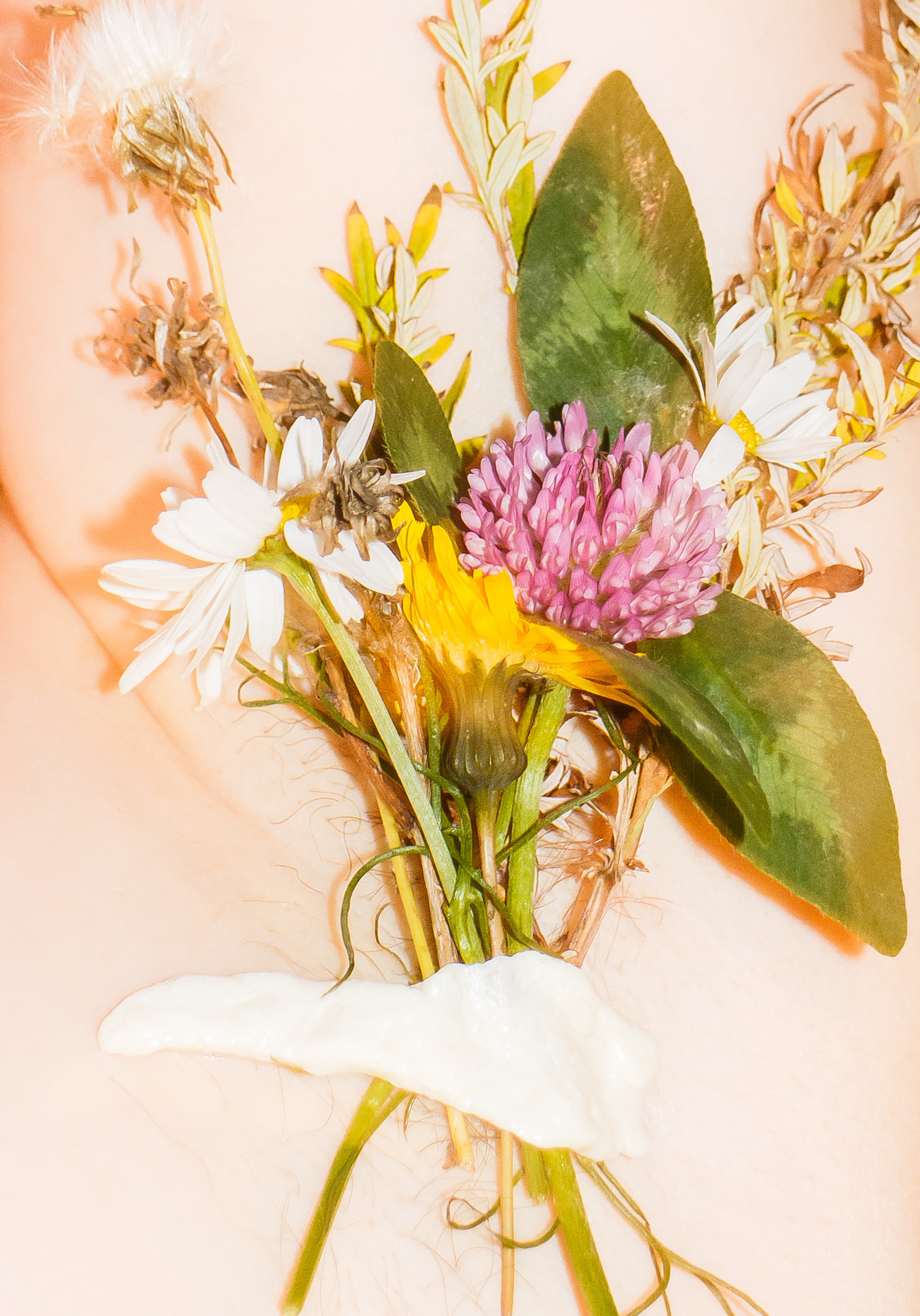 Семейный портрет. Козлова Екатерина. Междисциплинарная визуальная художница