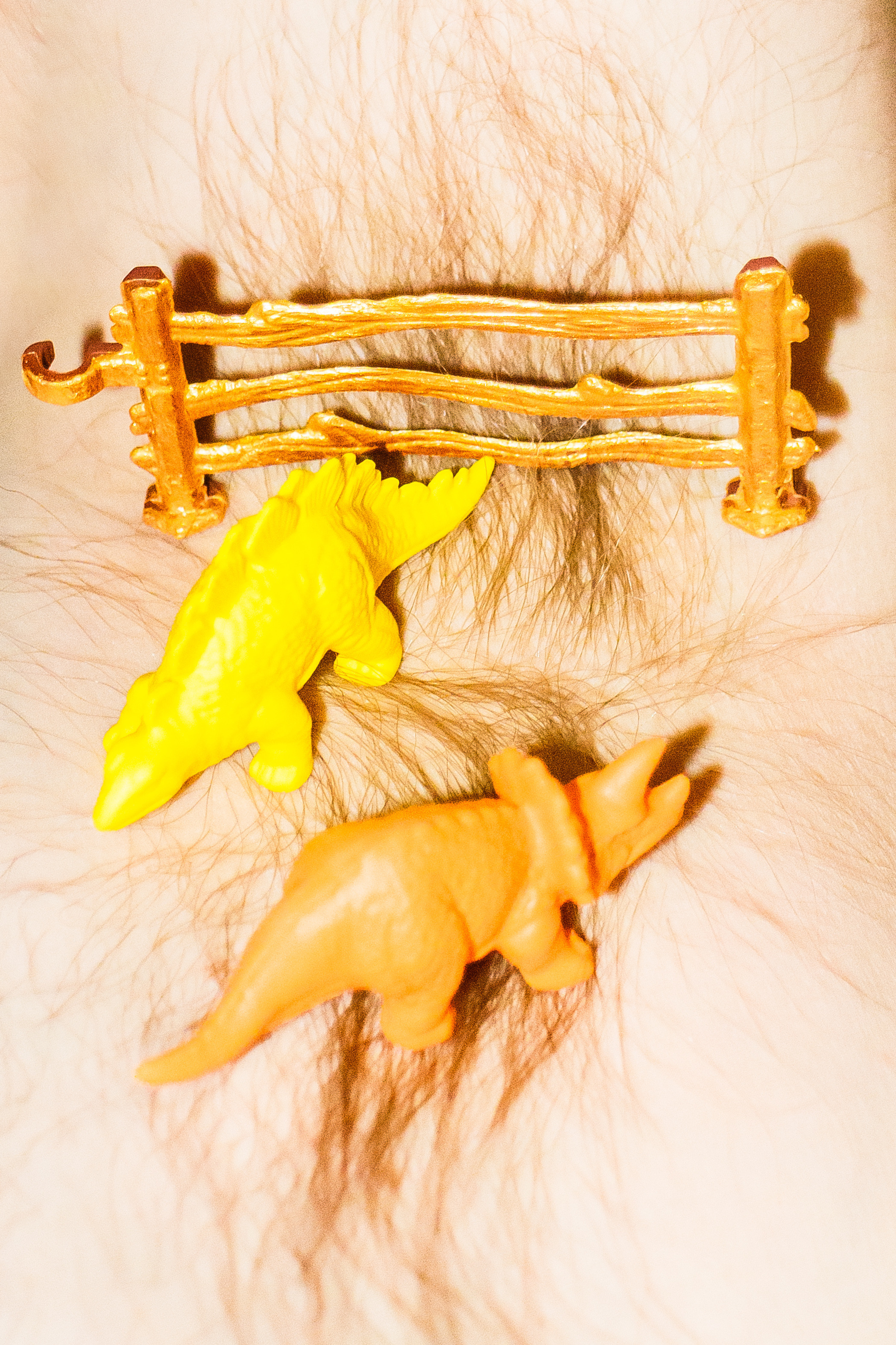 Семейный портрет. Козлова Екатерина. Междисциплинарная визуальная художница