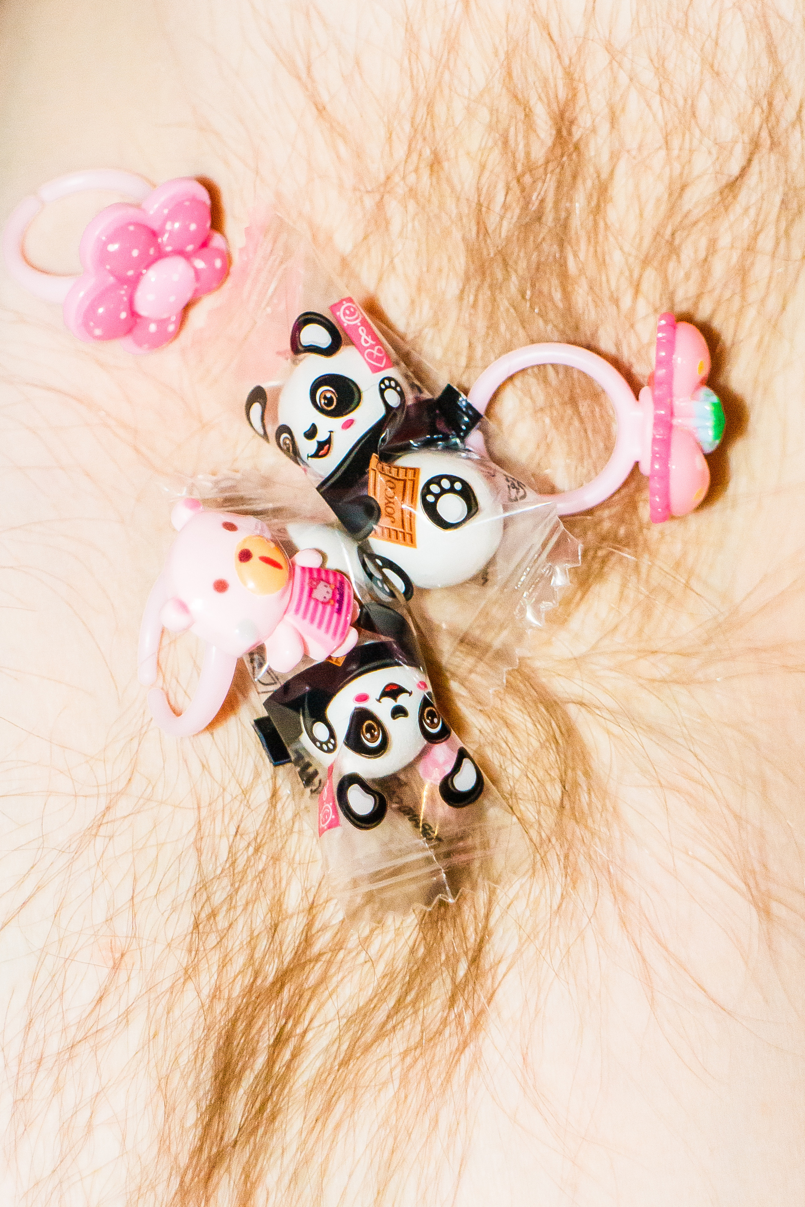 Семейный портрет. Козлова Екатерина. Междисциплинарная визуальная художница