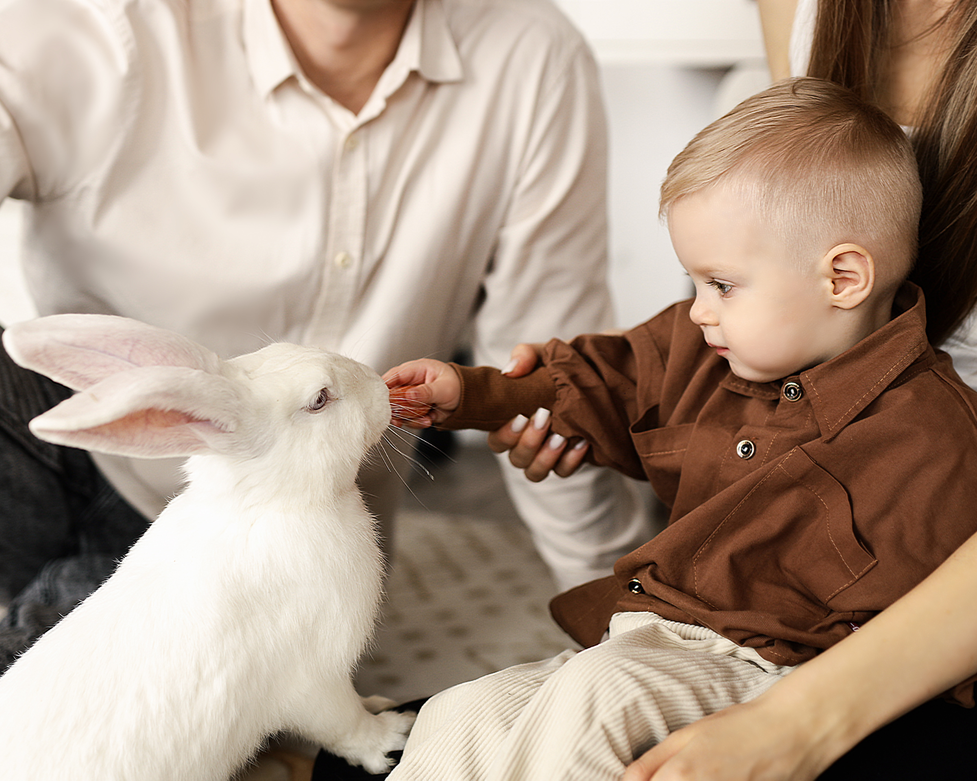 Фотостудия Молоко в Минске