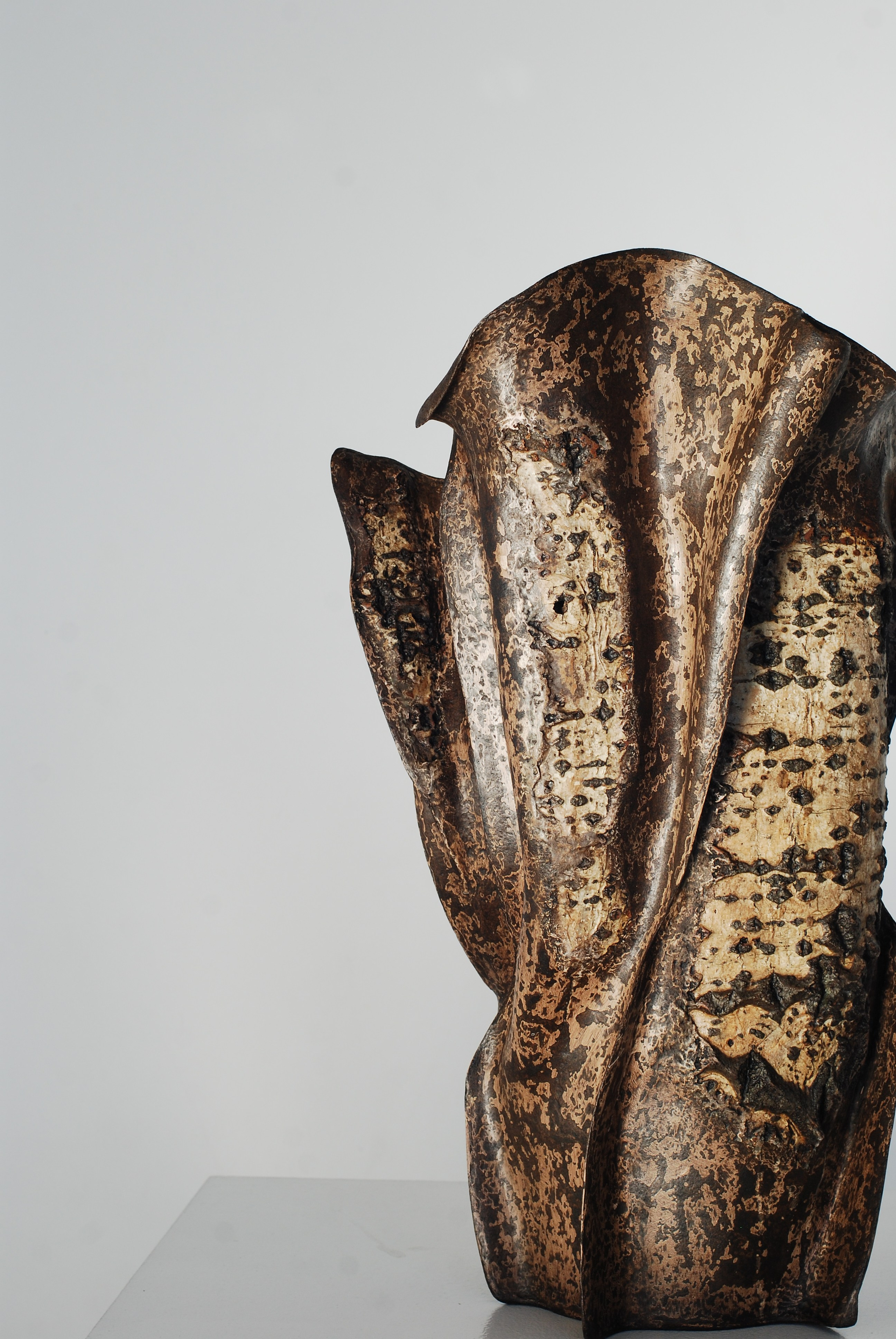 Эволюция духа 3. ЕЛЕНА МЕШКОВА мультидисциплинарный художник