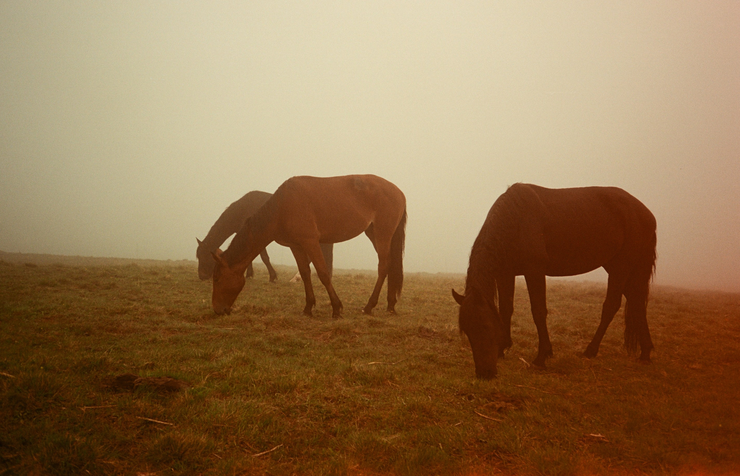 Автор: Анастасия Смирнова