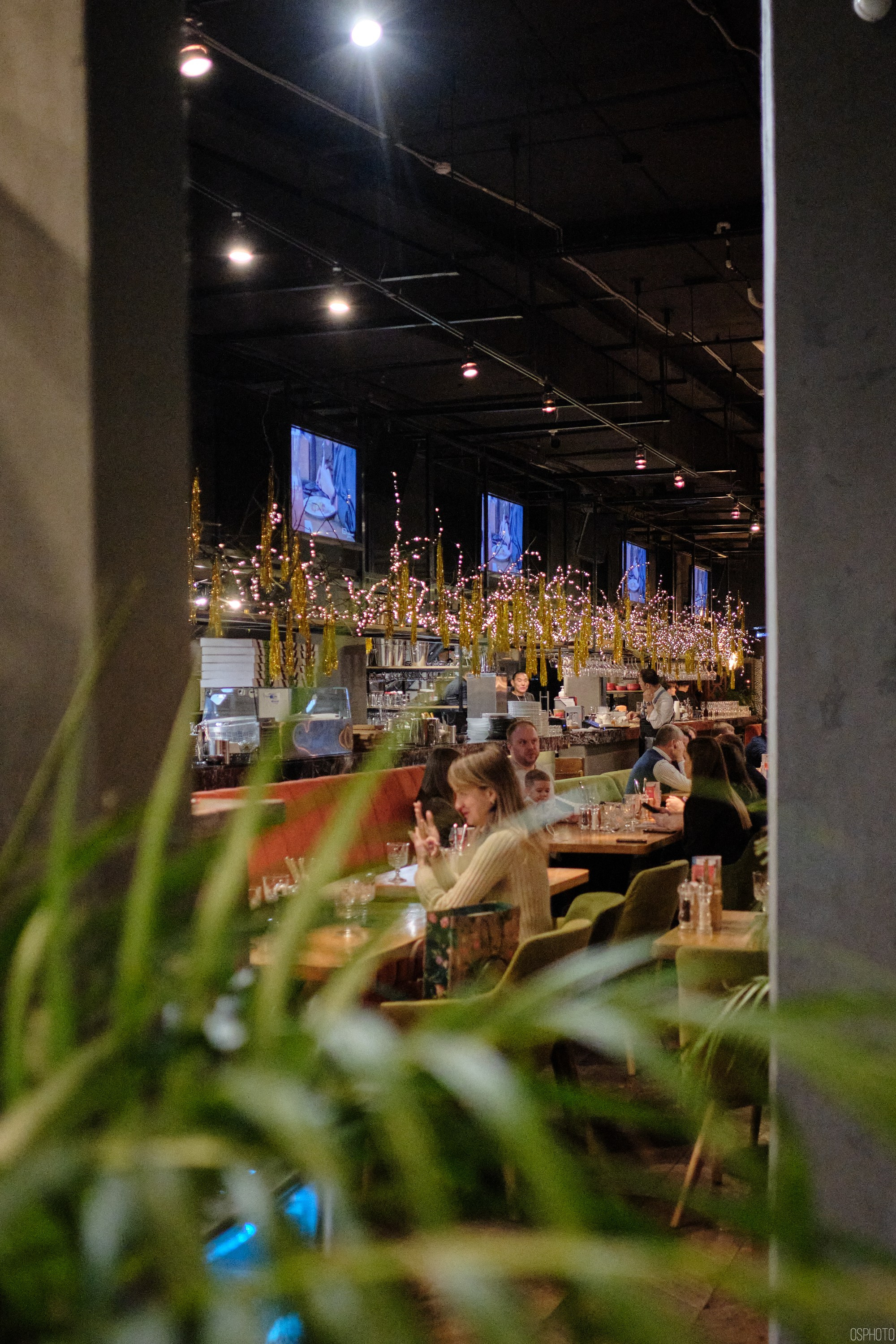 Снег и туман в Санкт-Петербурге. Фотографъ Сергѣевъ. Поймать мгновеніе