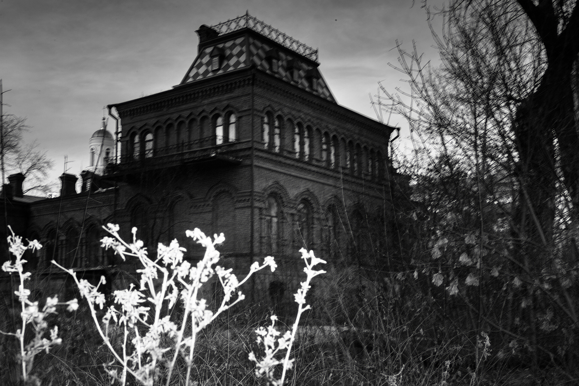 Молчание золота (часть II: зин). Главная