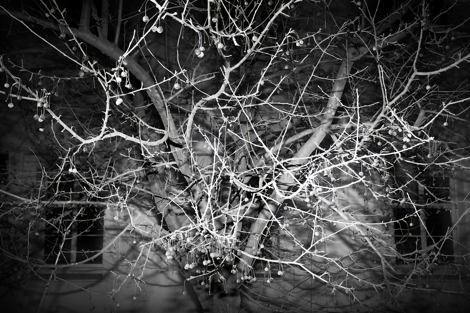 Молчание золота (часть II: зин). Главная