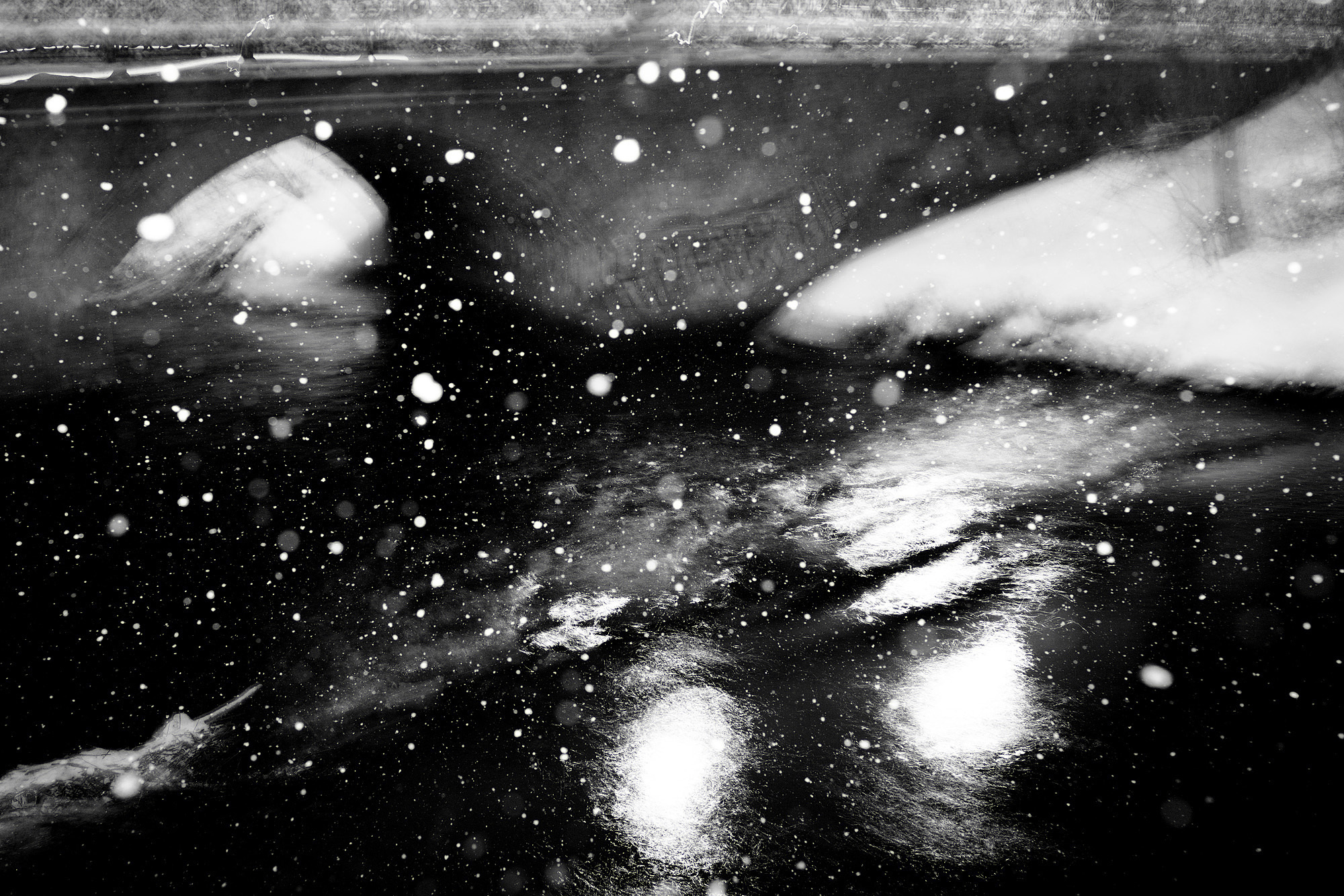 Молчание золота (часть II: зин). Главная