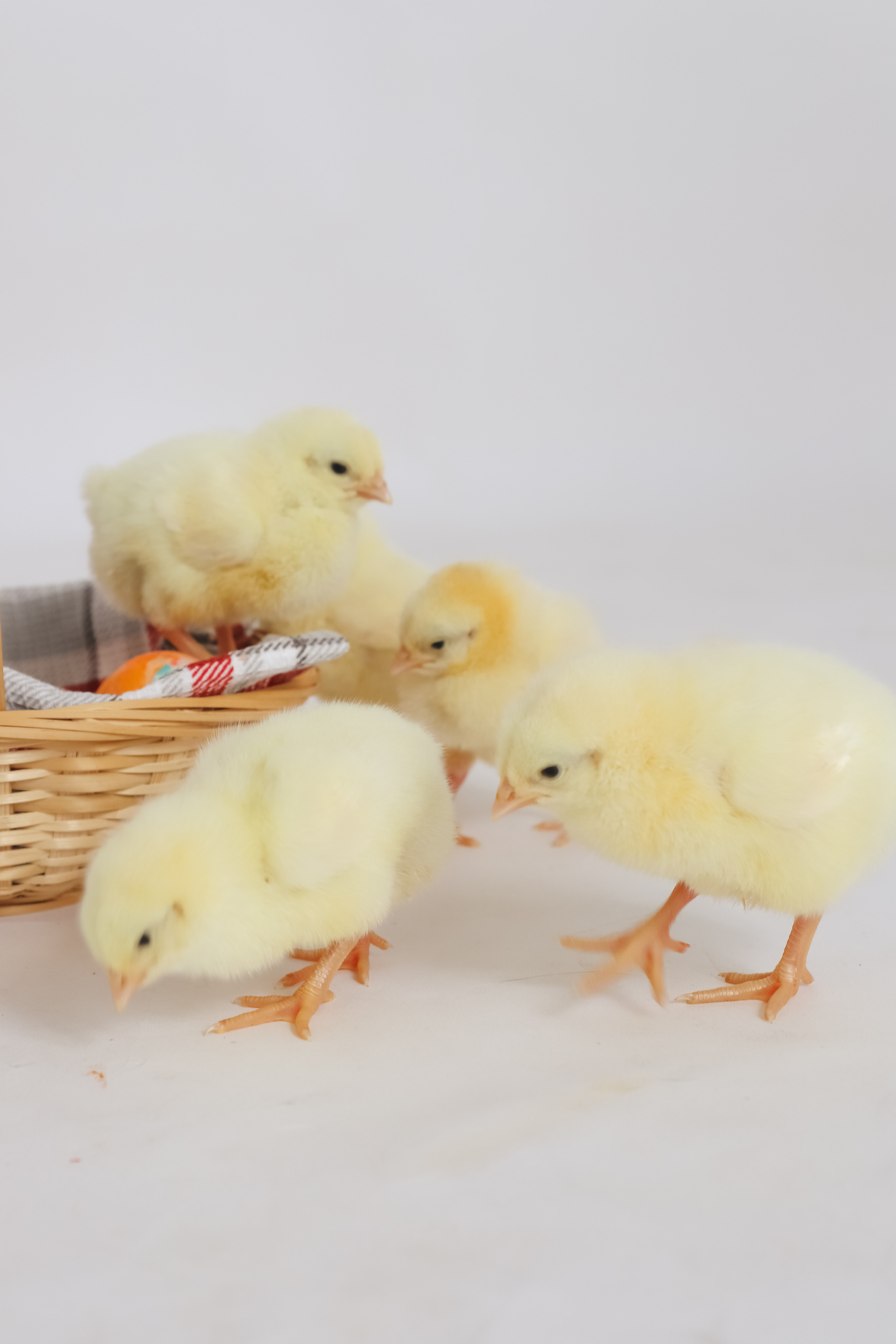 Пасха 2022. Клусова Татьяна фотограф Тольятти