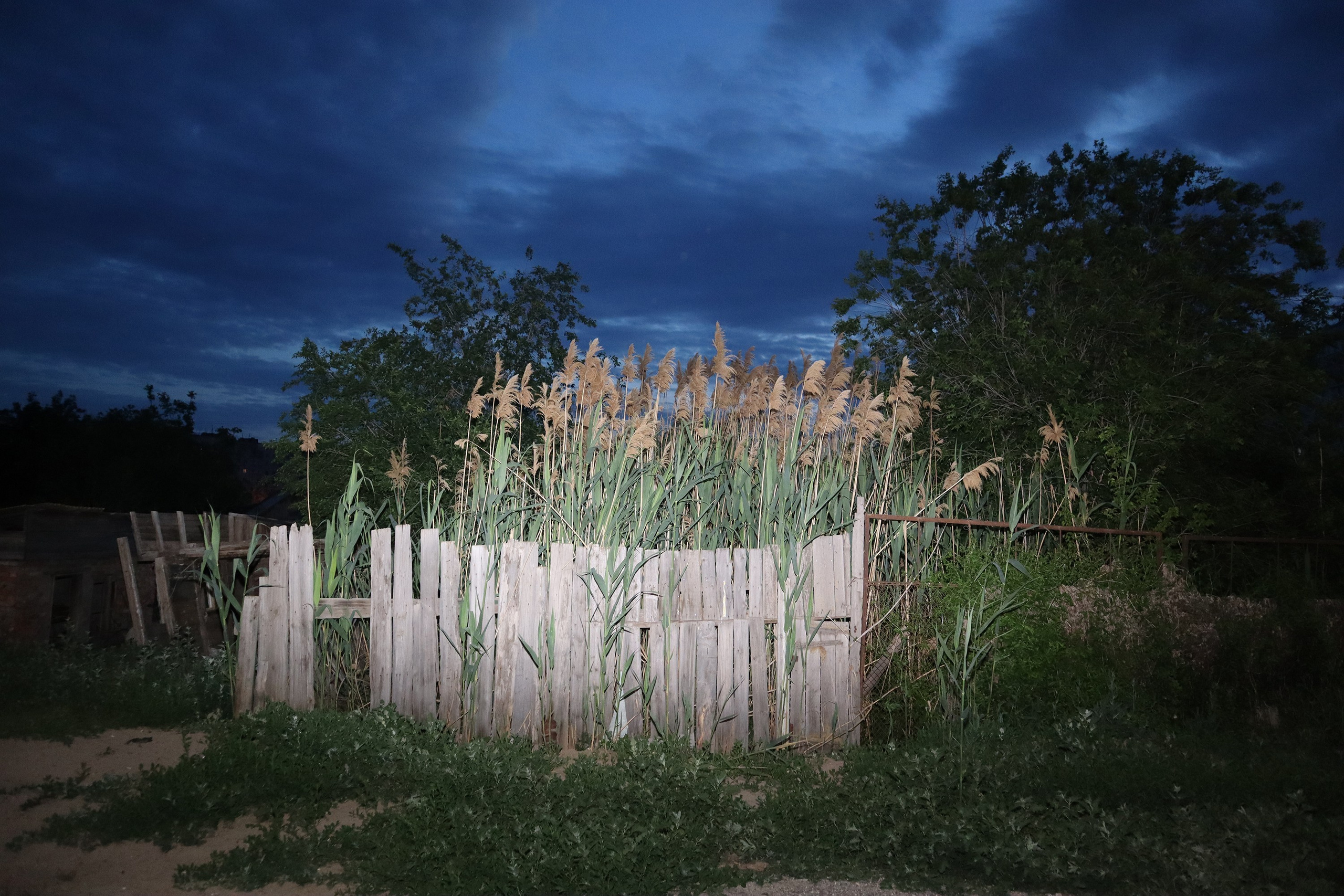 Rusted night. Lidia Anosova