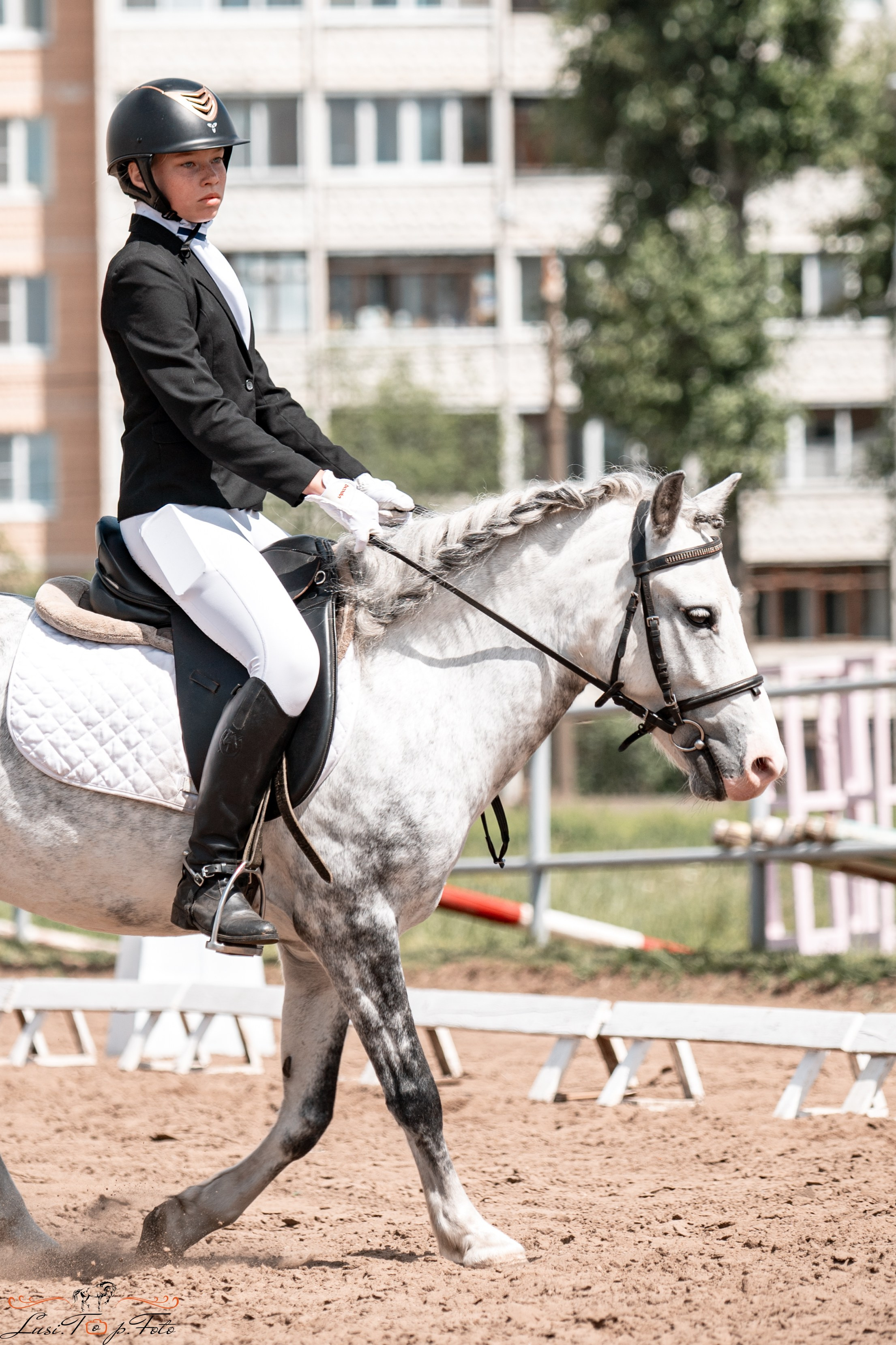 Областные соревнования по выездке. Тверь. Конный и фотограф с животными в Твери Топталова Люся
