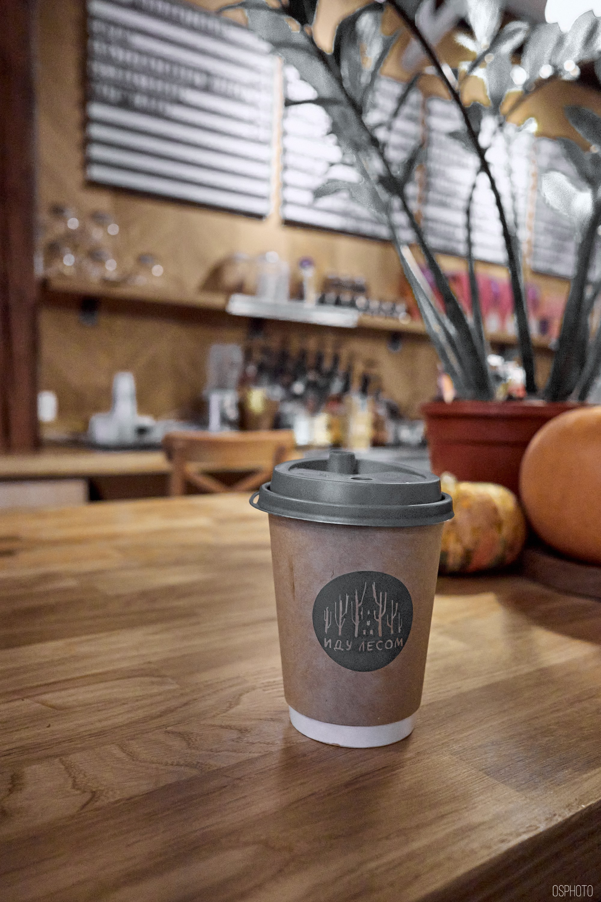 «Иду лесом». Кофе лофт в Братцево. Фотографъ Сергѣевъ. Поймать мгновеніе