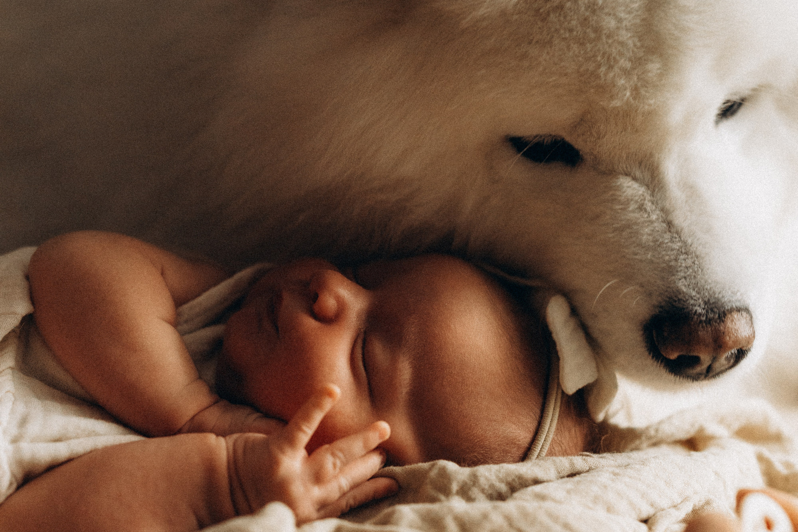 Евгения Пелипас