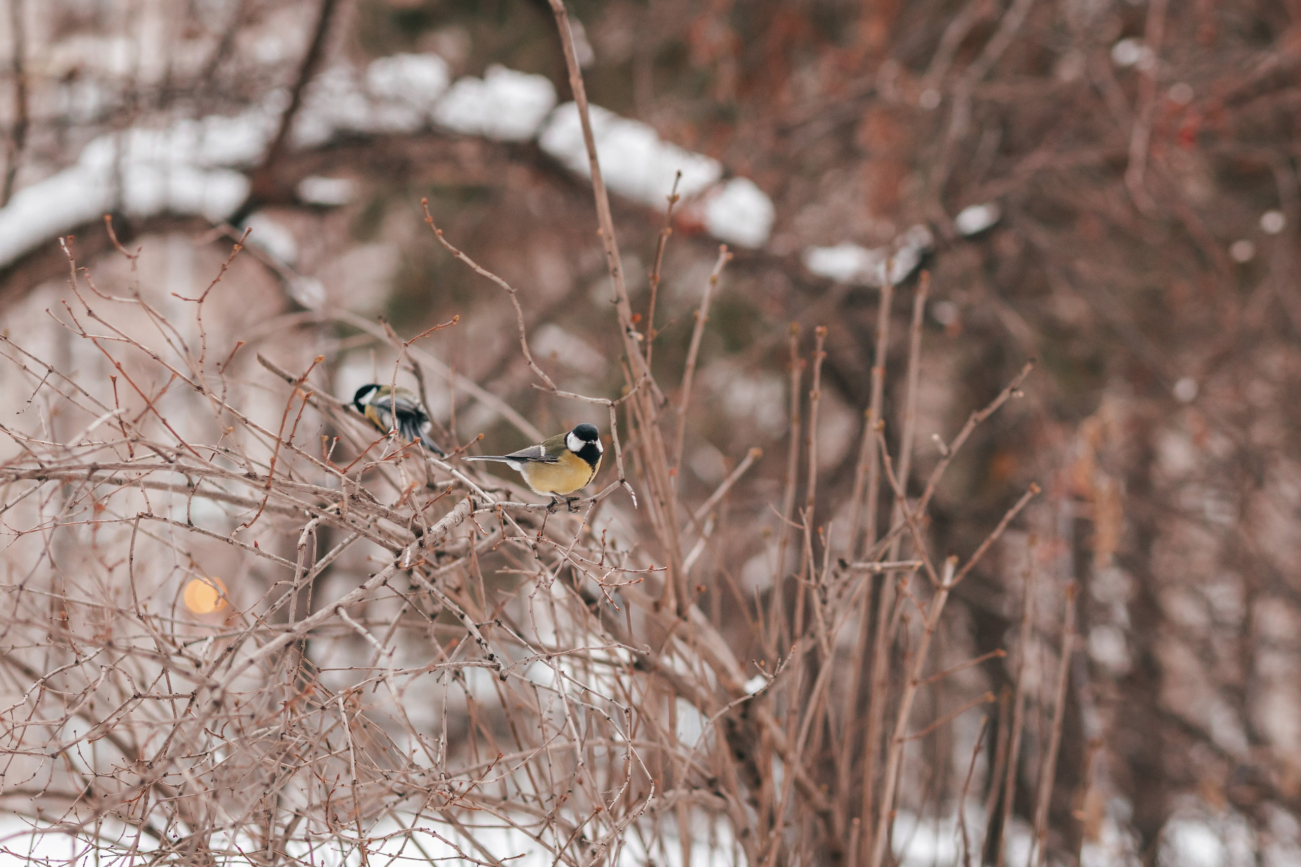 Ура! Каникулы!. Семейный и детский фотограф в г. Новосибирске Макеева Анастасия
