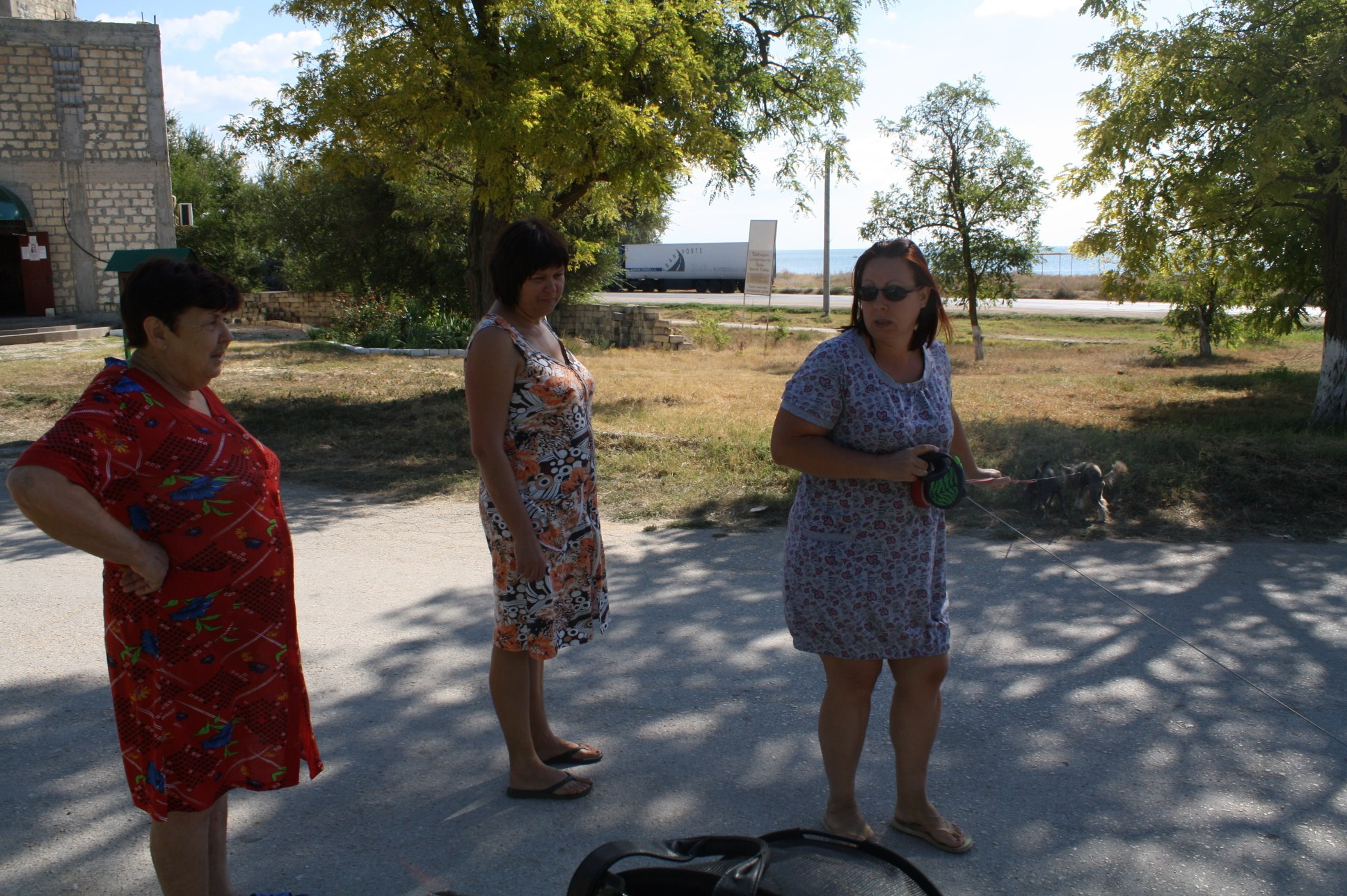 Dolzhanskaya Spit. Chinese Crested Dog Kennel Poale Ell