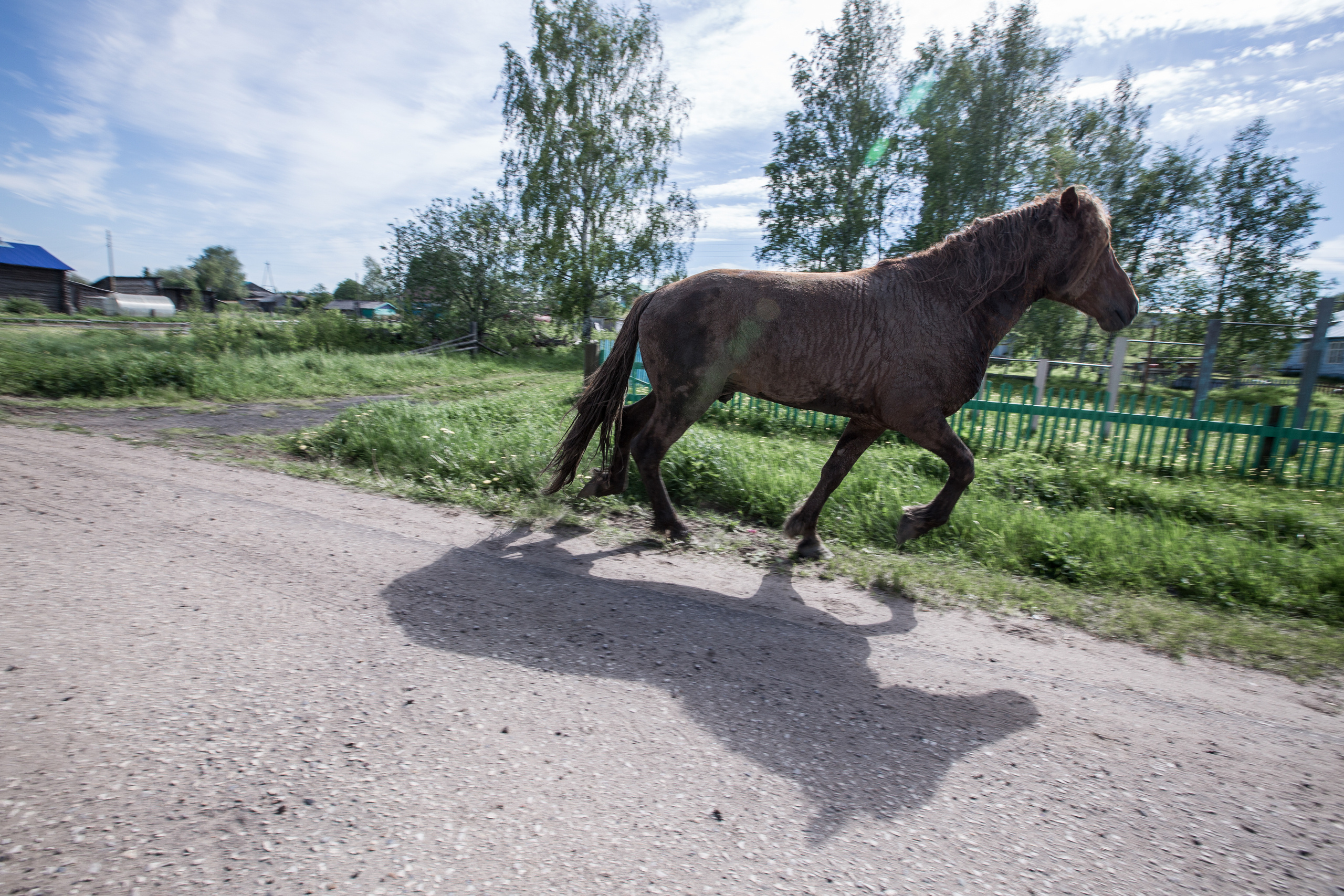 Архаика. Юлия Невская режиссер и сценарист документального кино, документальный фотограф, визуальный сторителлер