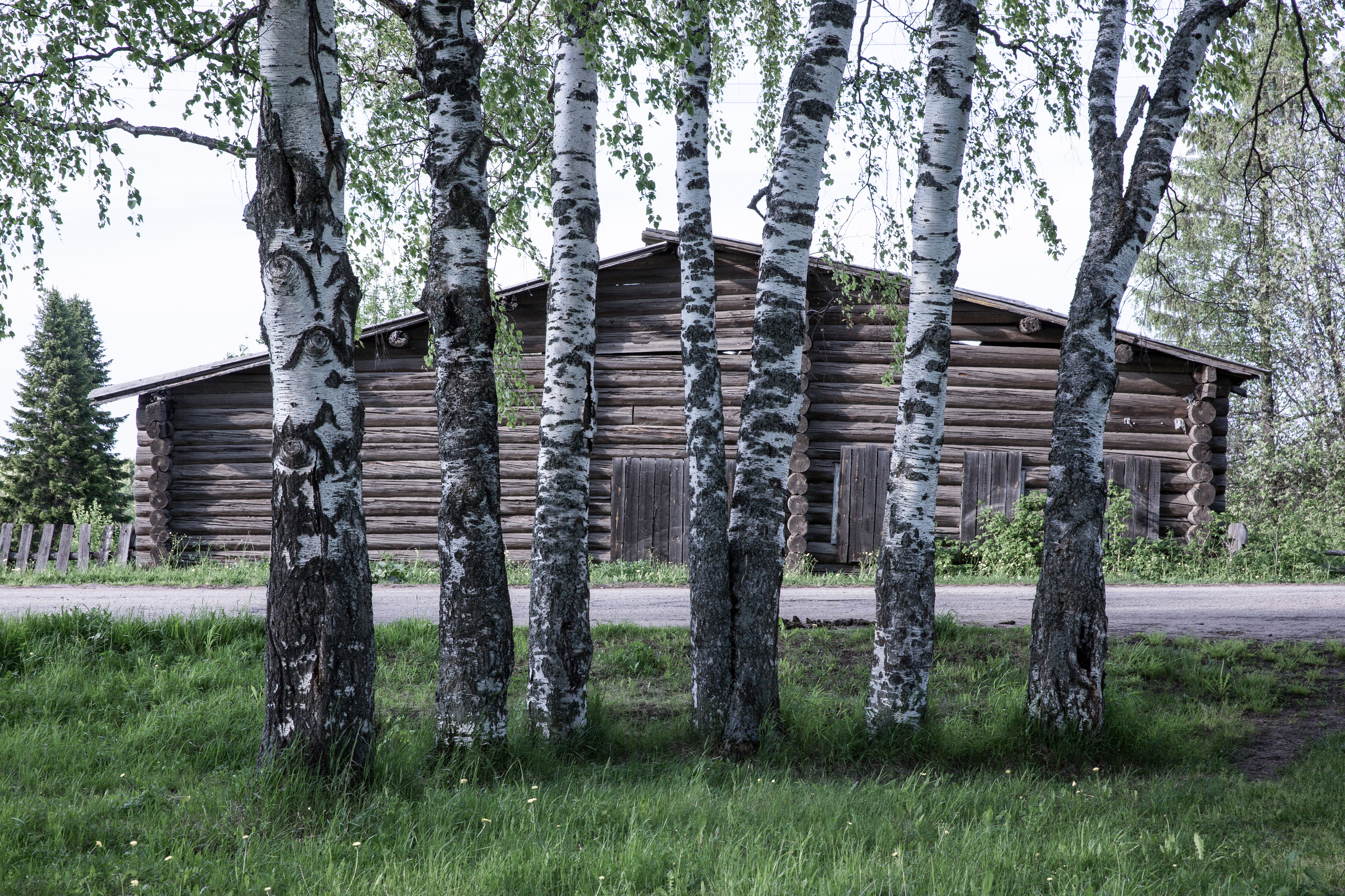 Архаика. Юлия Невская режиссер и сценарист документального кино, документальный фотограф, визуальный сторителлер