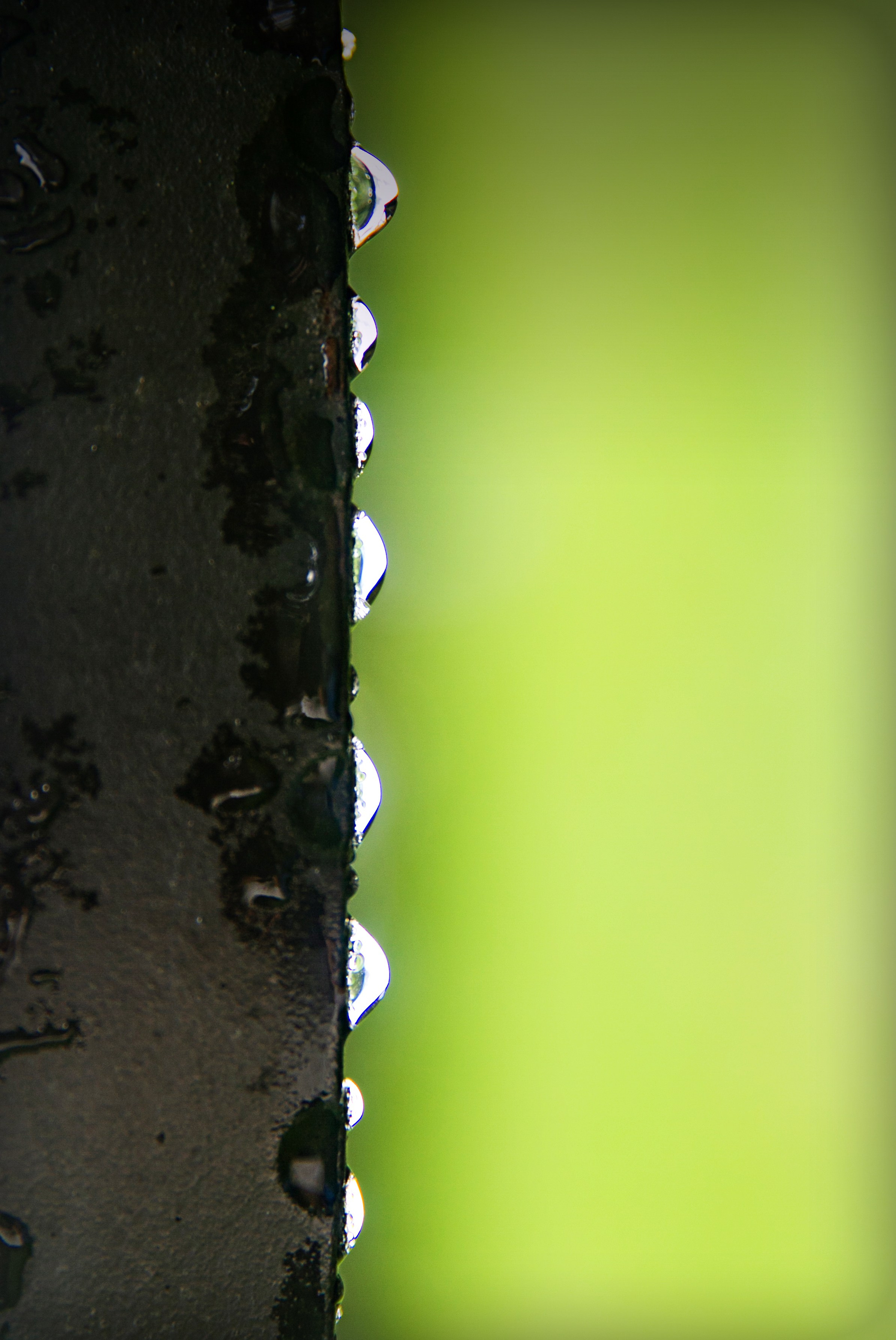 Подберу кадр под ваш интерьер и настроение. Фотограф Кирилл Мешков Кемерово