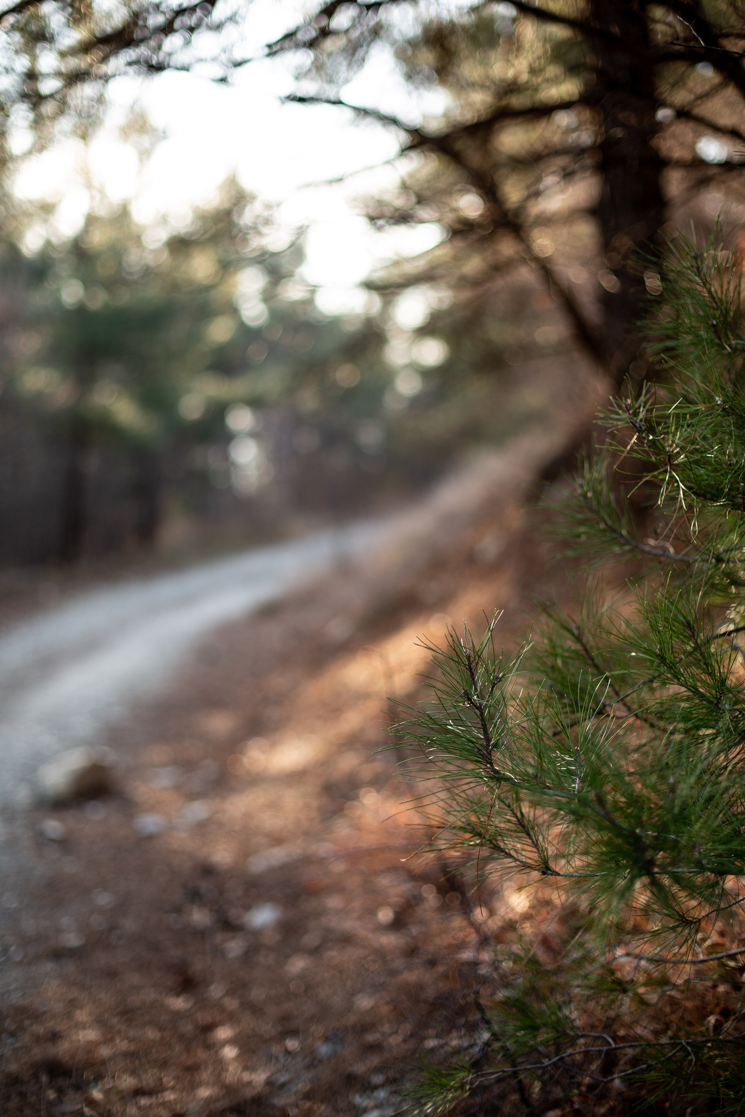 Дороги земли ветров. Портретный фотограф в Москве и Геленджике Кирилл Вахитов