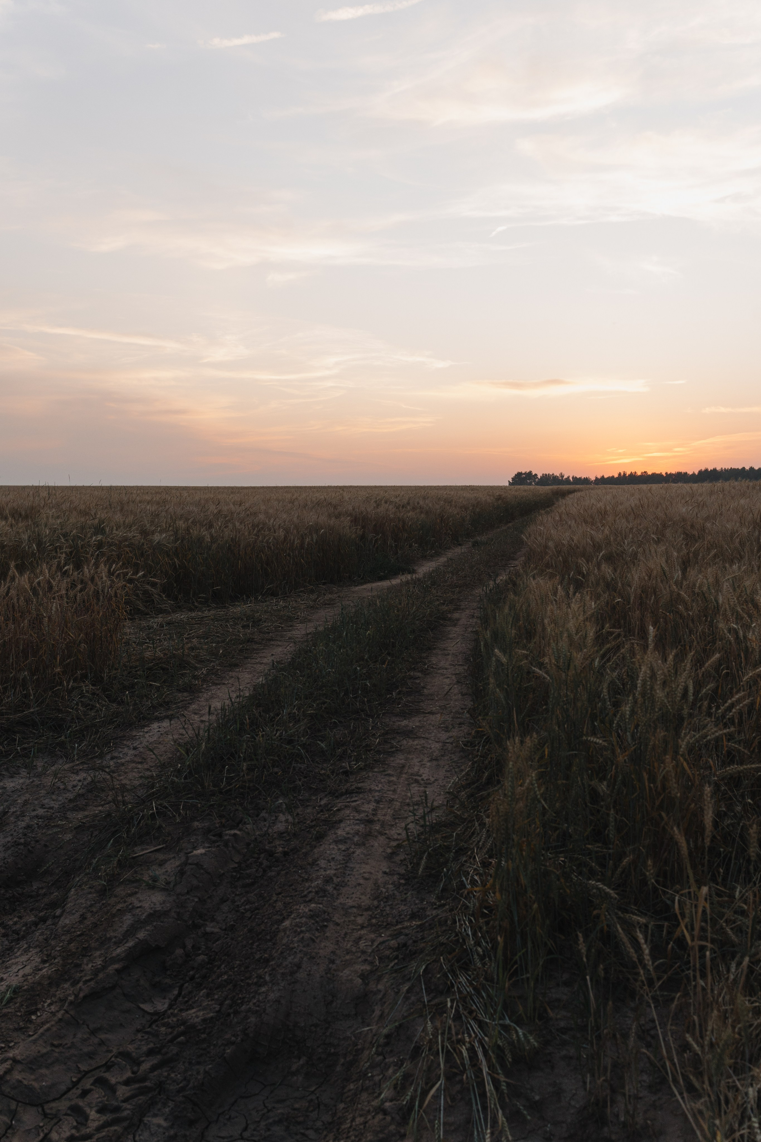 За городом. Про любовь