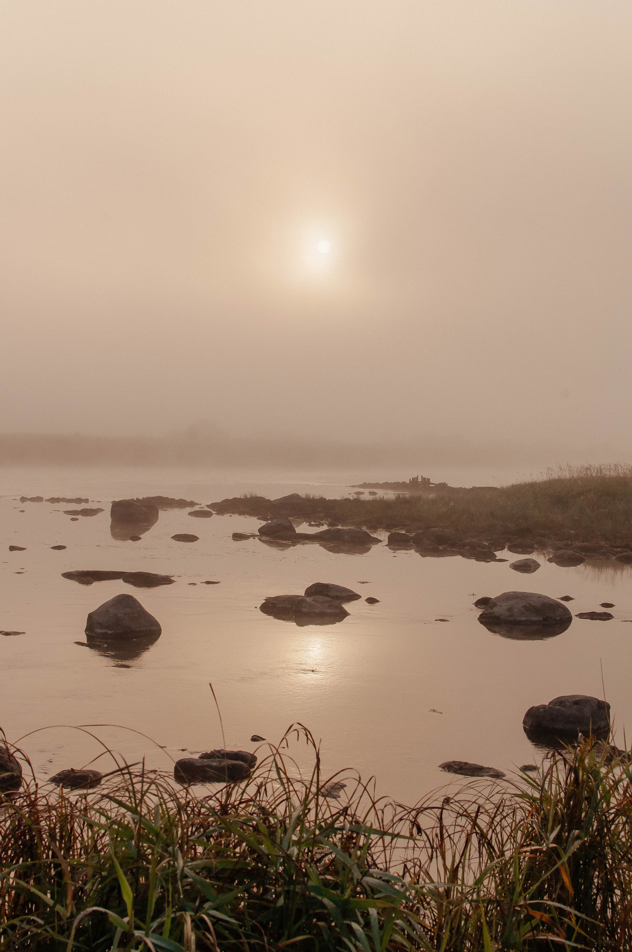 Семейный фотограф из Петрозаводска, Карелия