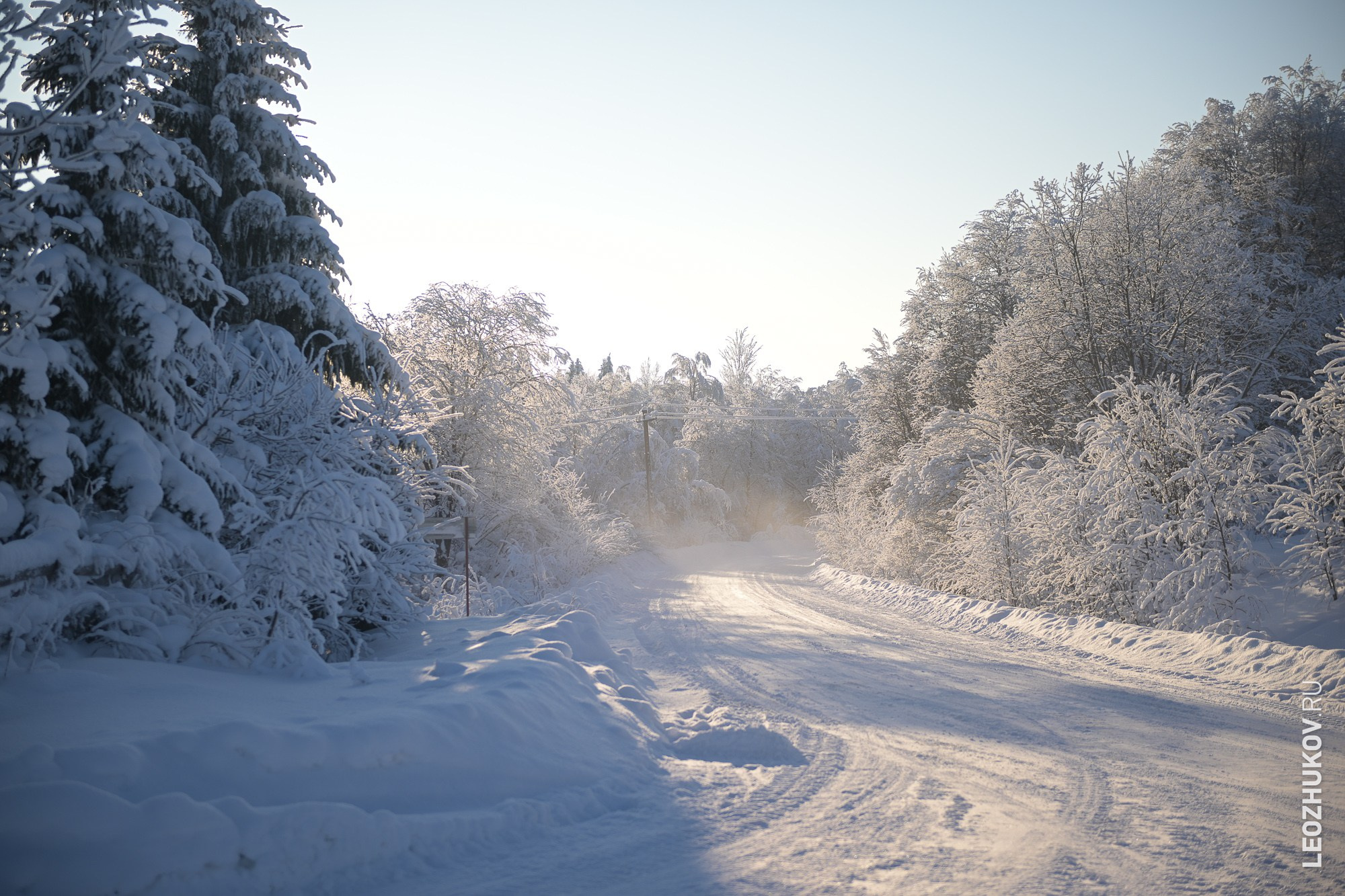 Rally Suvorov 2026. Sports photographer Leonid Zhukov