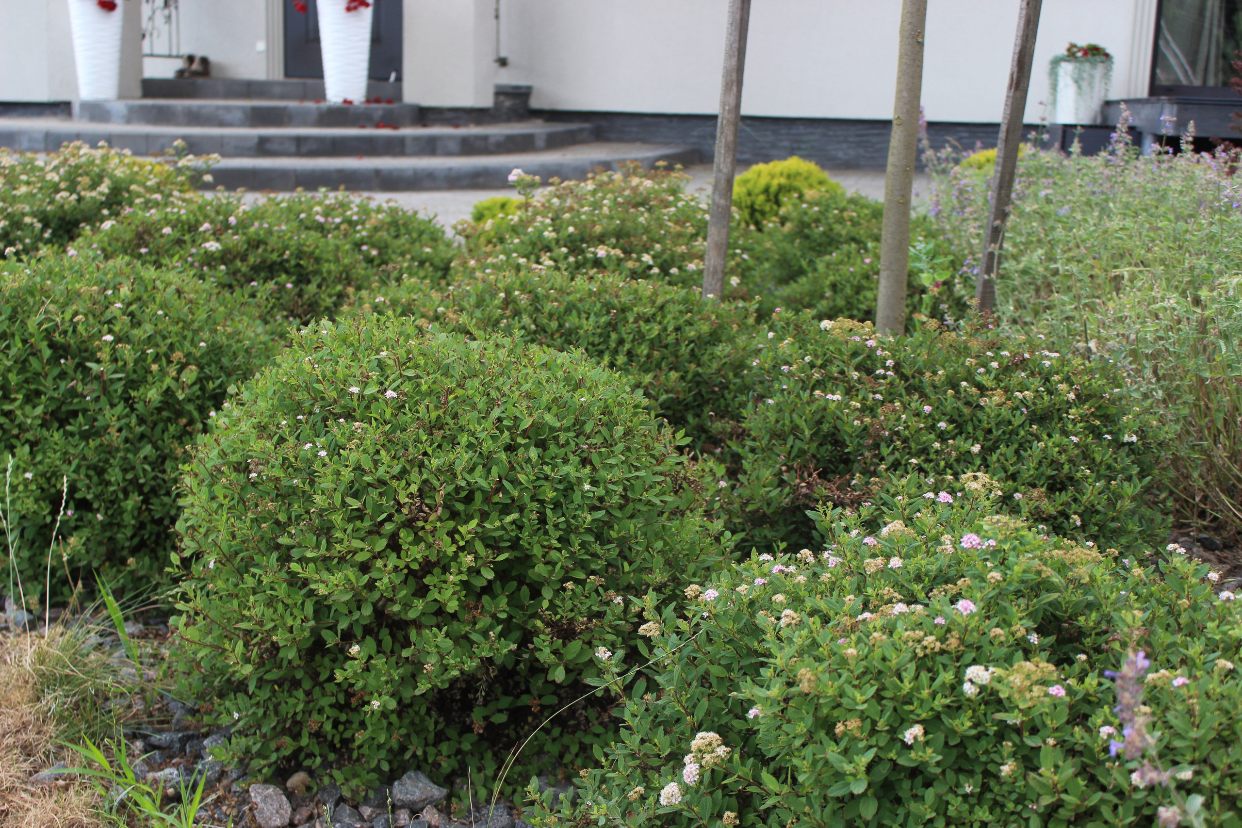 GARDEN IN R. LA. Ландшафтный дизайн в Минске и Гродно