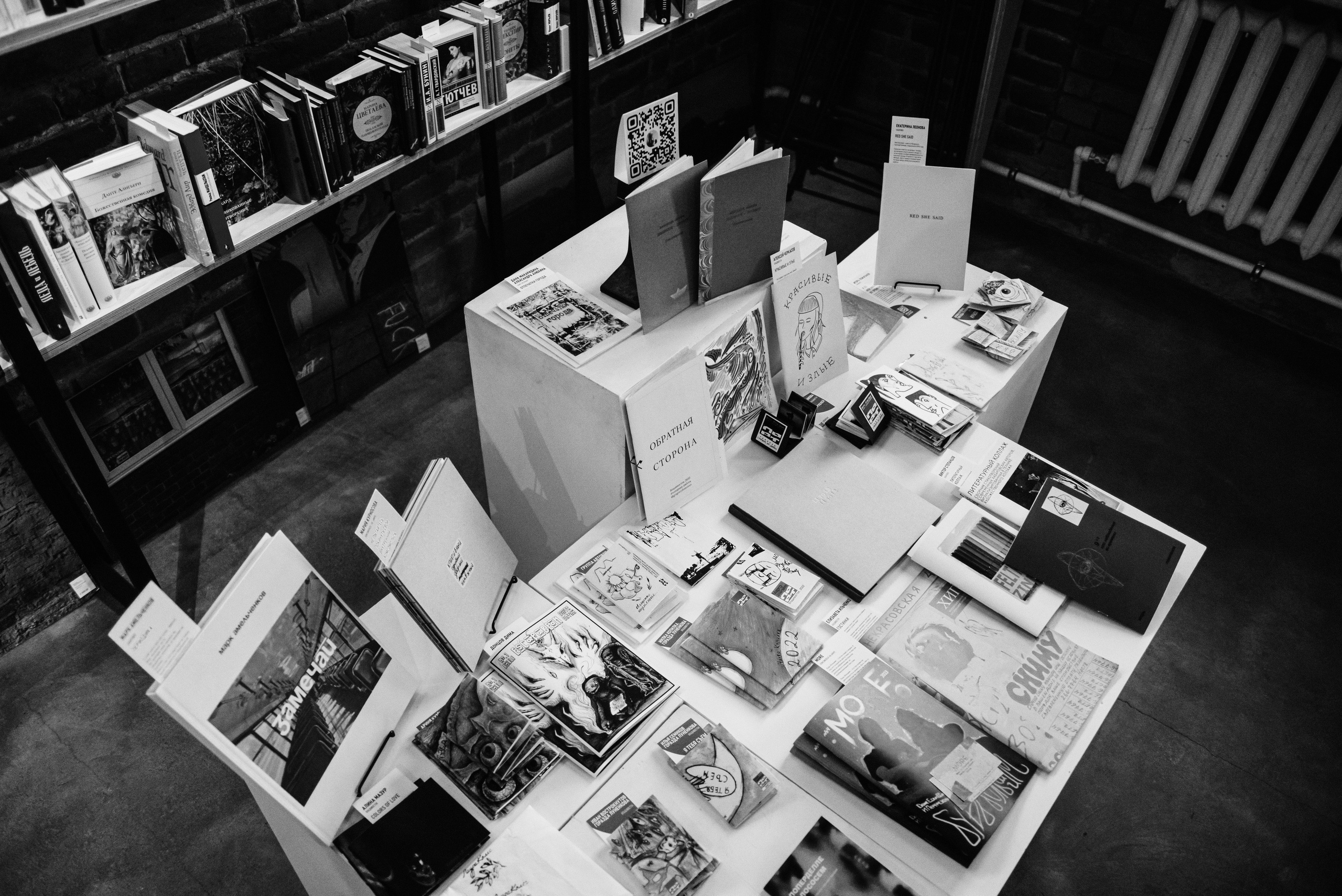 ЗИНЫ. Дарья Пянзина | фотограф |междисциплинарная художница