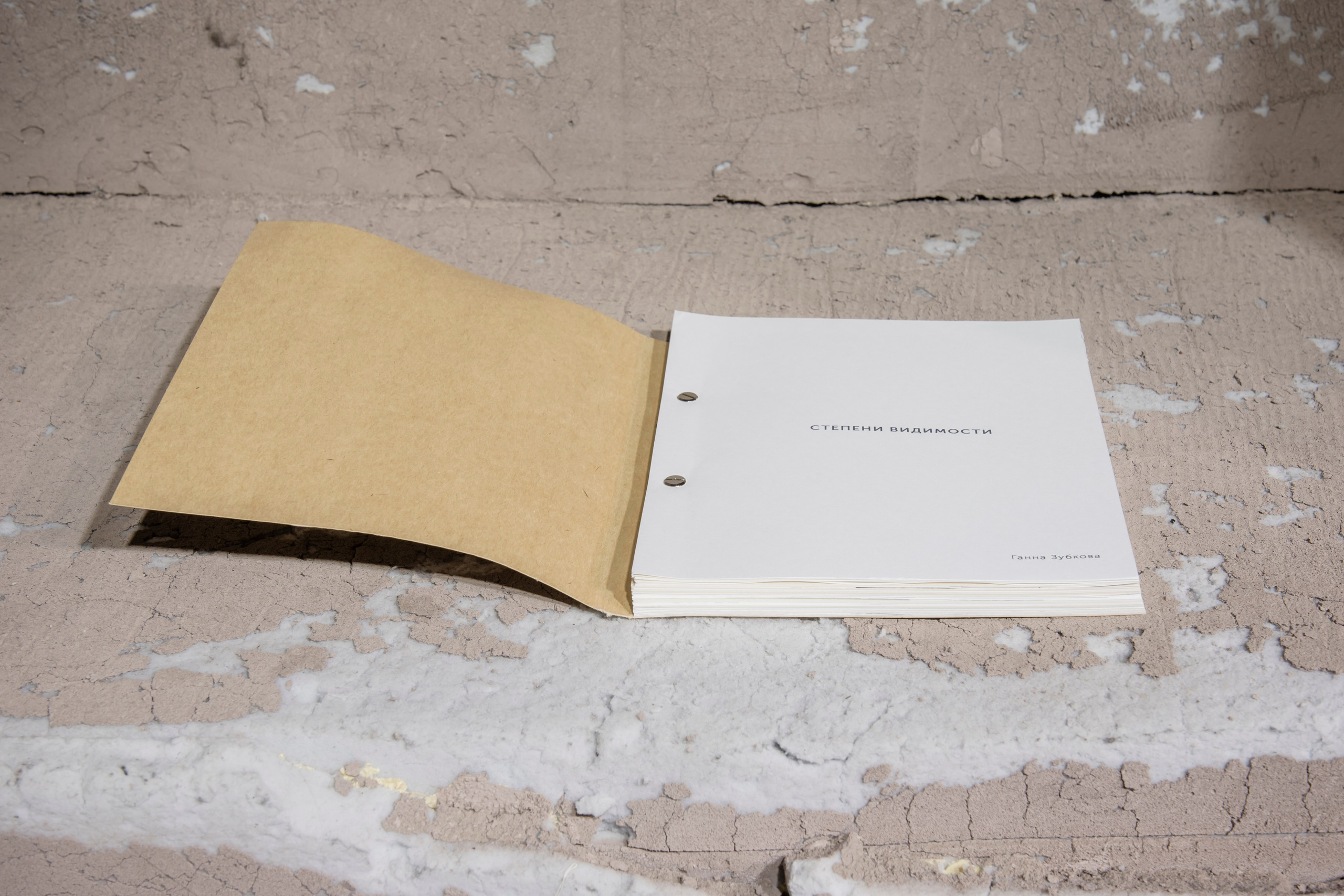 «Почти увиденное», групповая выставка, 26.09-04.10, ЦТИ «Фабрика», Москва. Лера Круглова