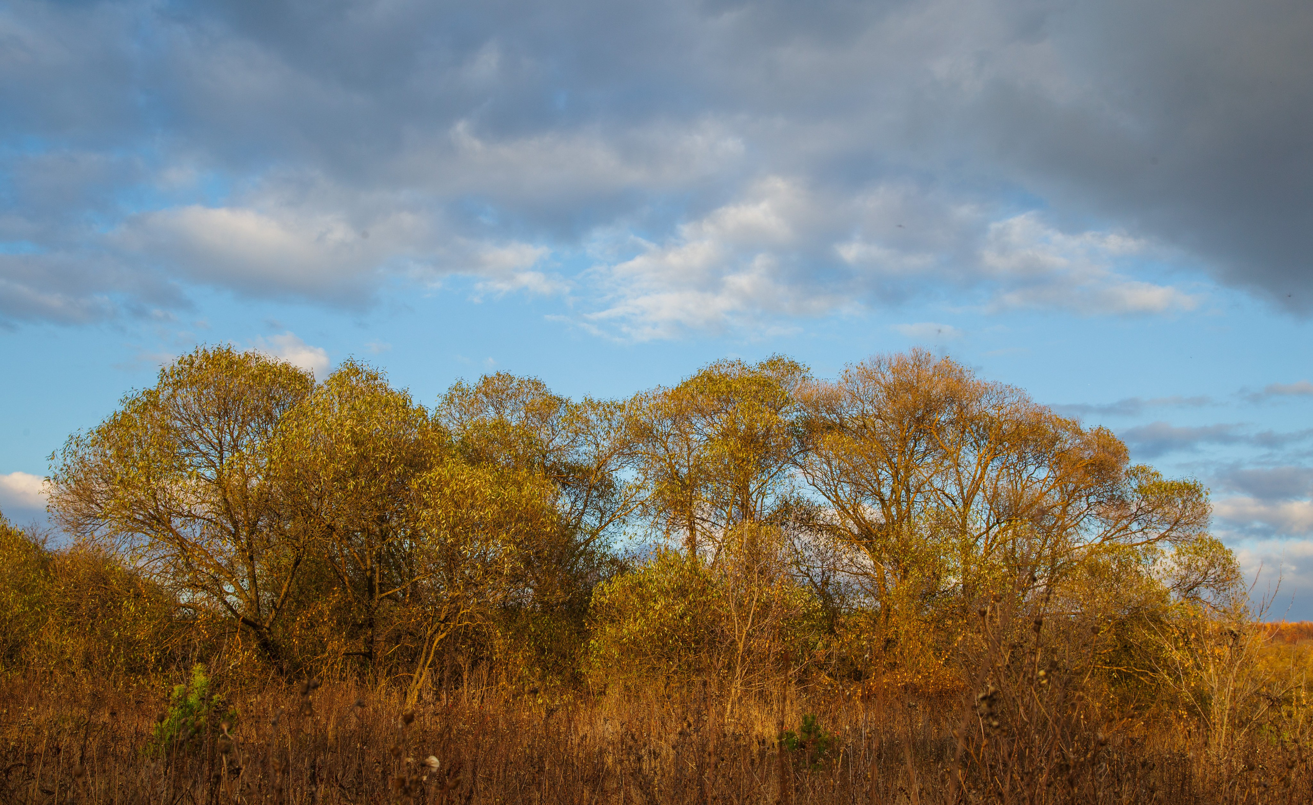 ТВОРЧЕСТВО. Творческая студия АЛНИфото