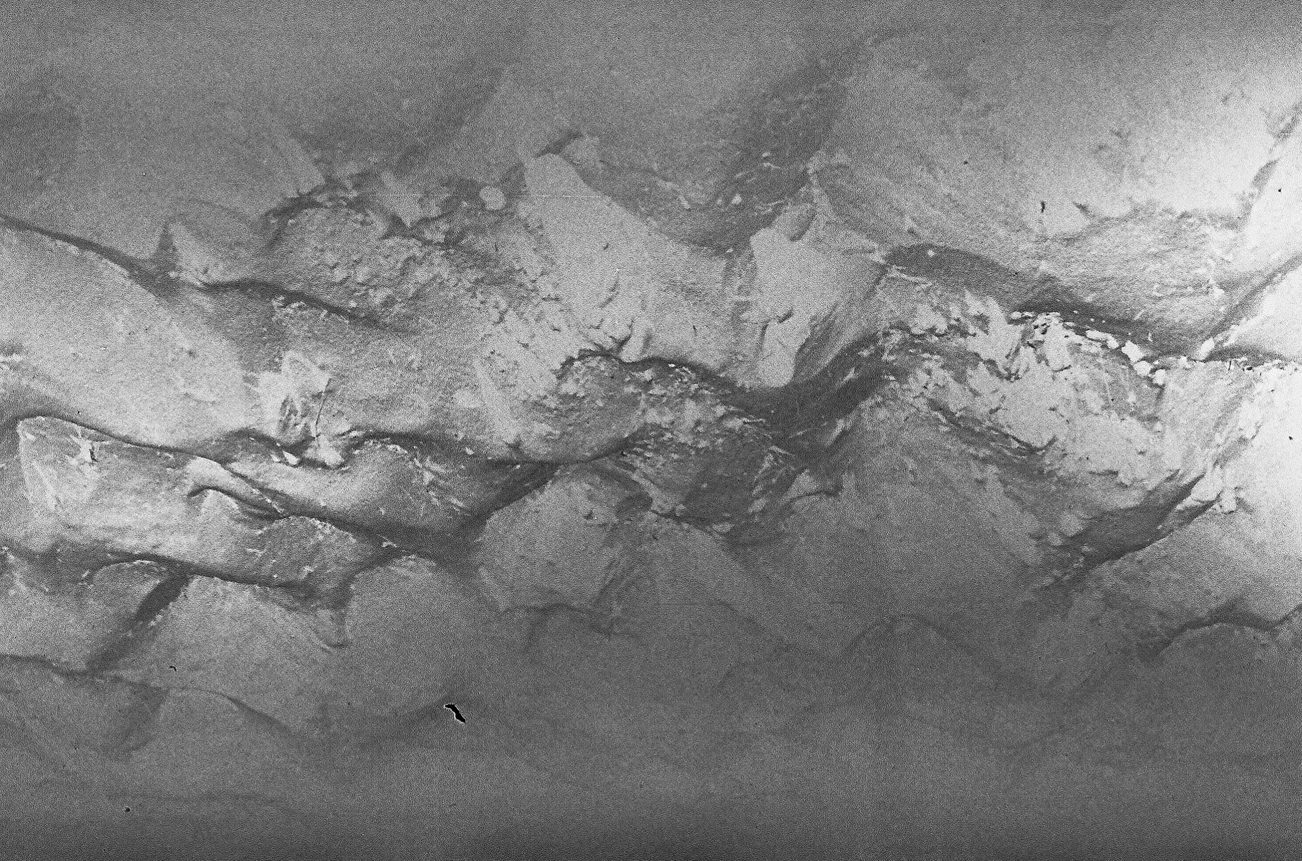 Шум. Катрин Эдельвак