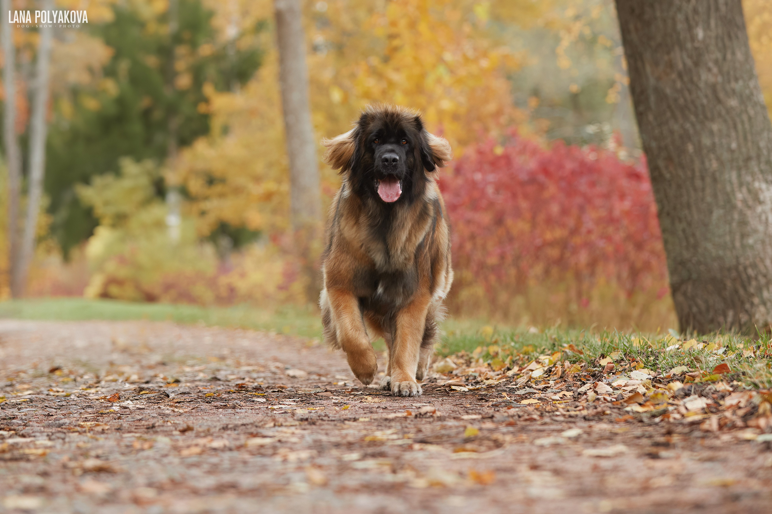 Лернбергеры на прогулке в Санкт-Петербурге