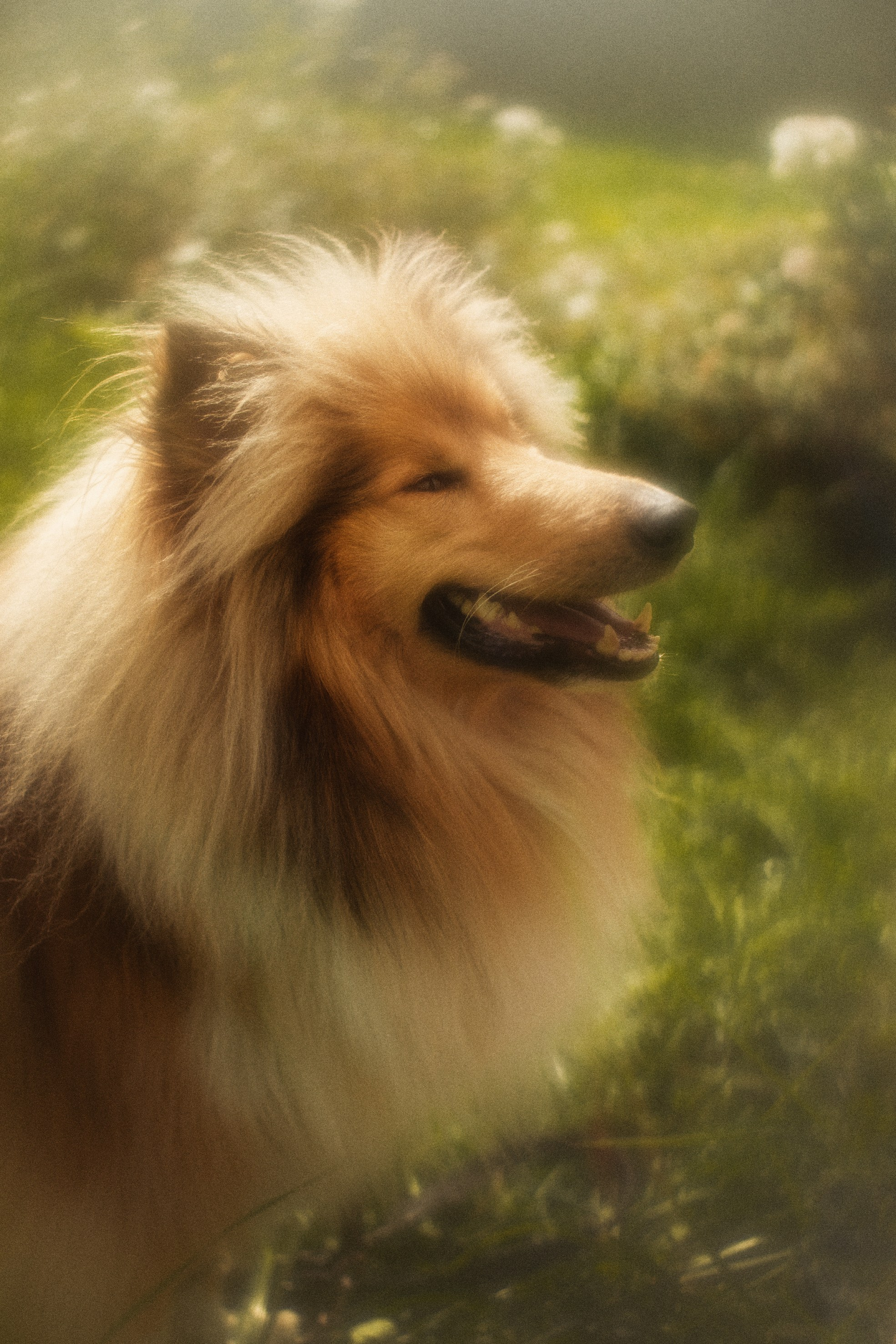 Маленький Принц. Фотограф детей и подростков в Москве Таня Королева