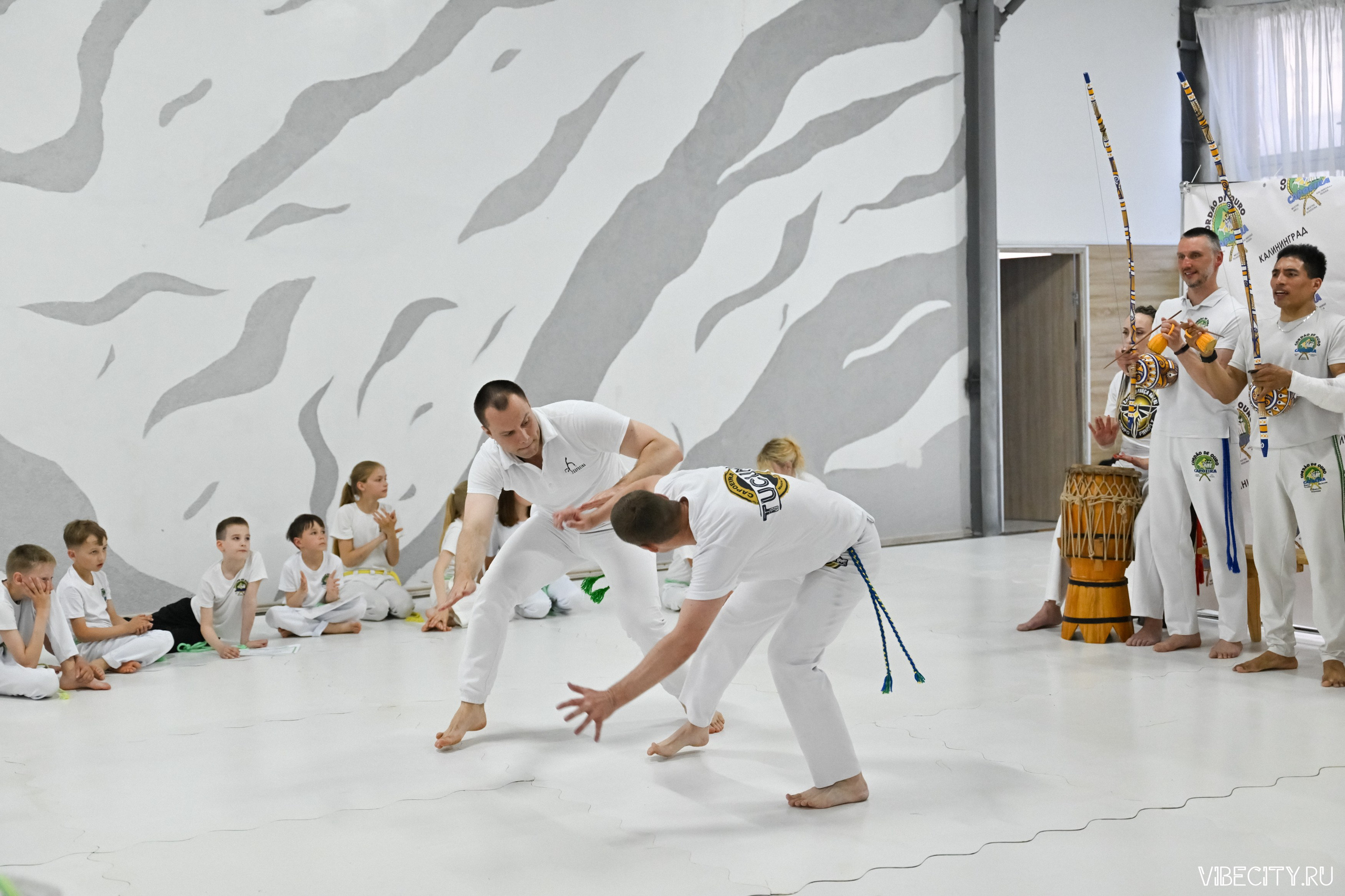 Capoeira: 4-е batizado e Troca de cordao. VIBECITY.RU Вайб Сити Ру Фоторепортажи Фотоотчеты Калининград