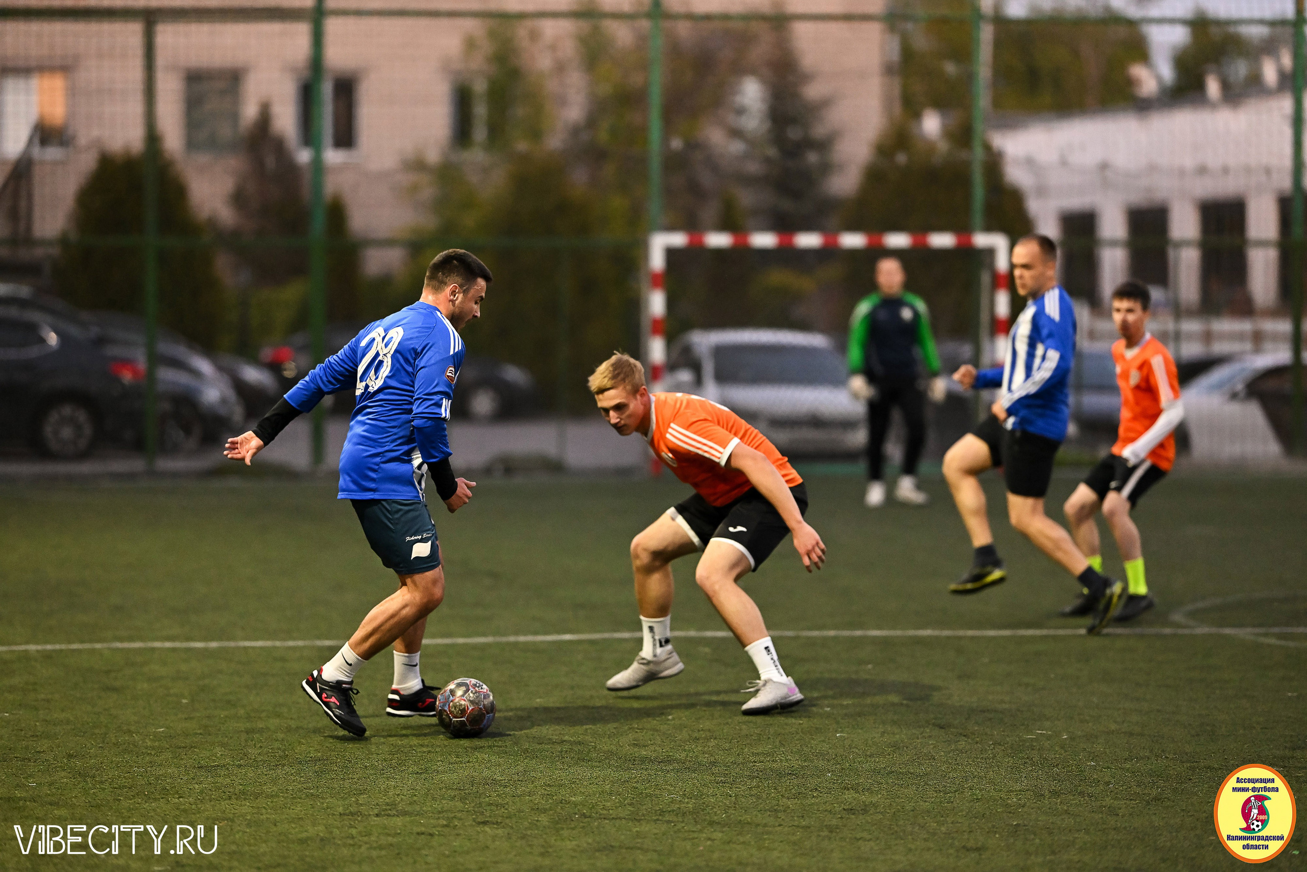 ИГРЫ МИНИ-ФУТБОЛЬНОЙ ЛИГИ. VIBECITY.RU Вайб Сити Ру Фоторепортажи Фотоотчеты Калининград