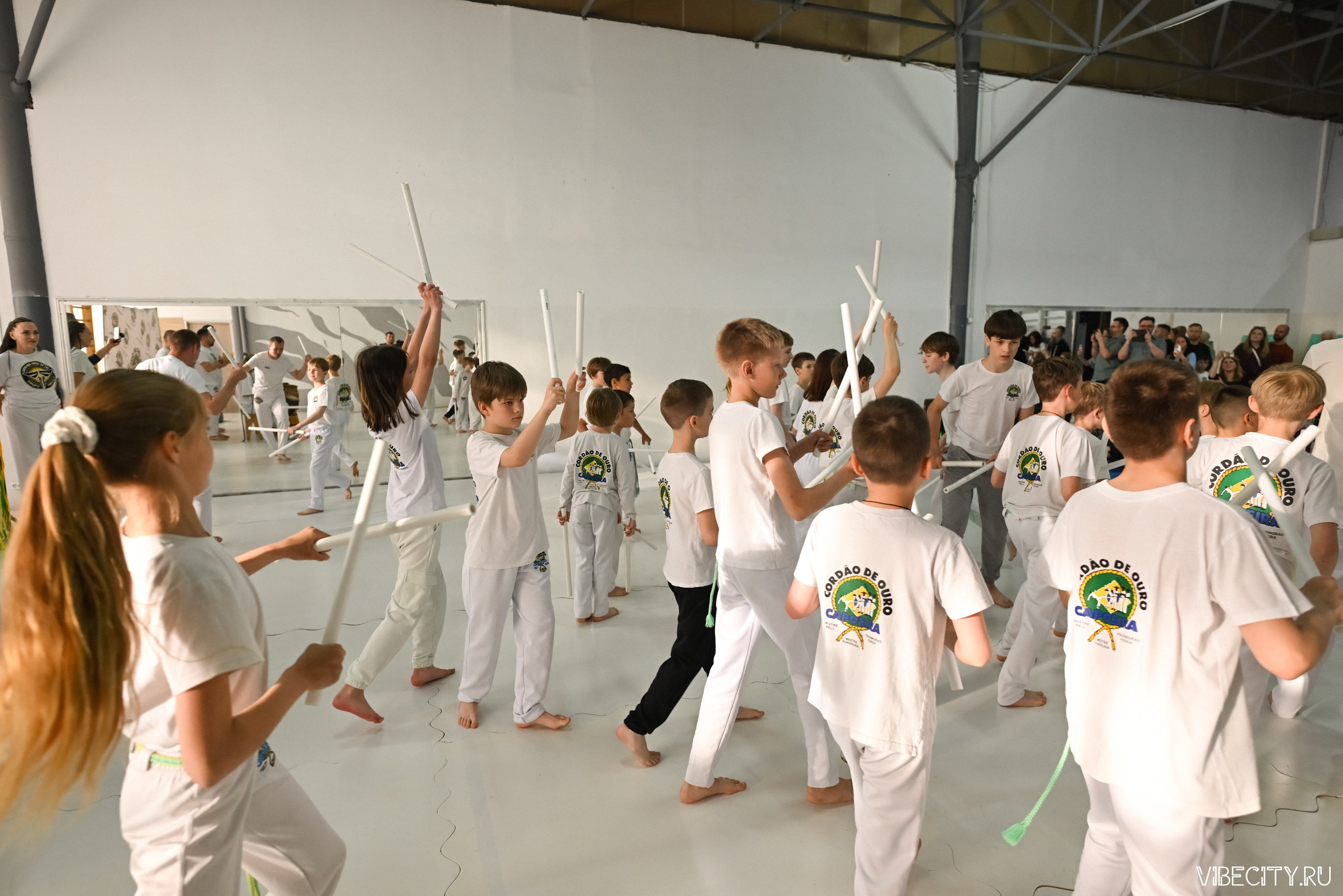 Capoeira: 4-е batizado e Troca de cordao. VIBECITY.RU Вайб Сити Ру Фоторепортажи Фотоотчеты Калининград