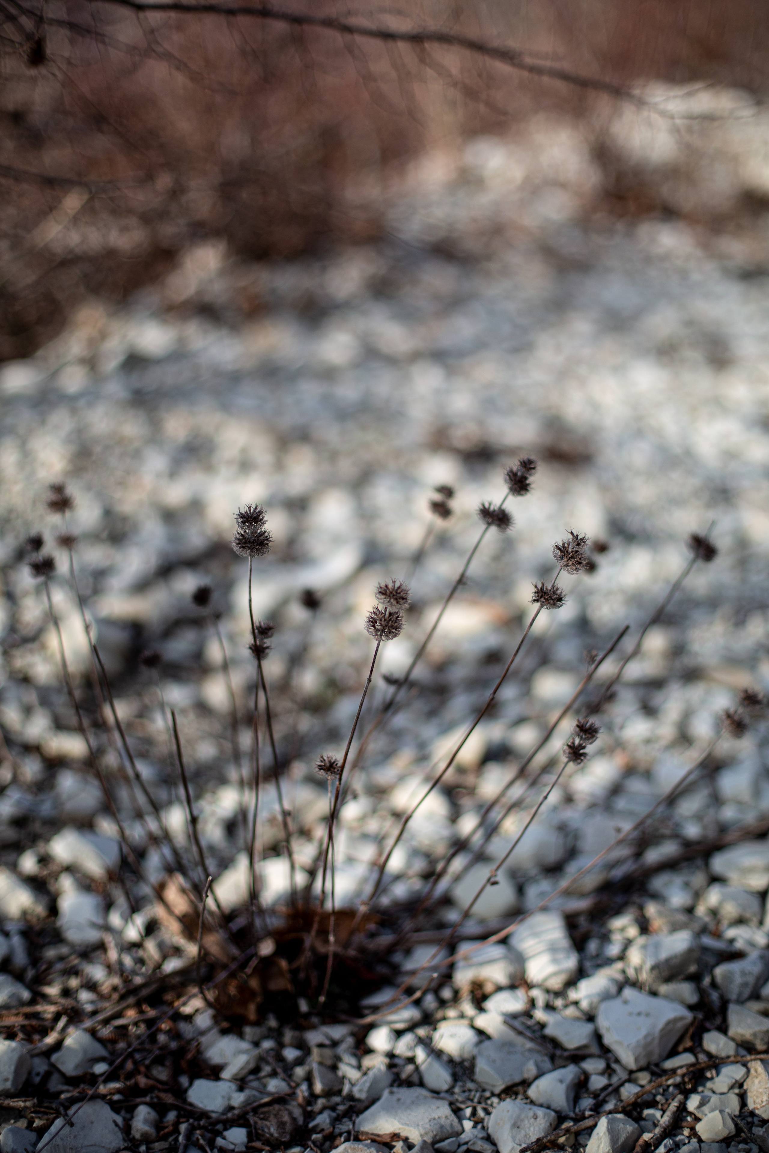 Дороги земли ветров. Портретный фотограф в Москве и Геленджике Кирилл Вахитов