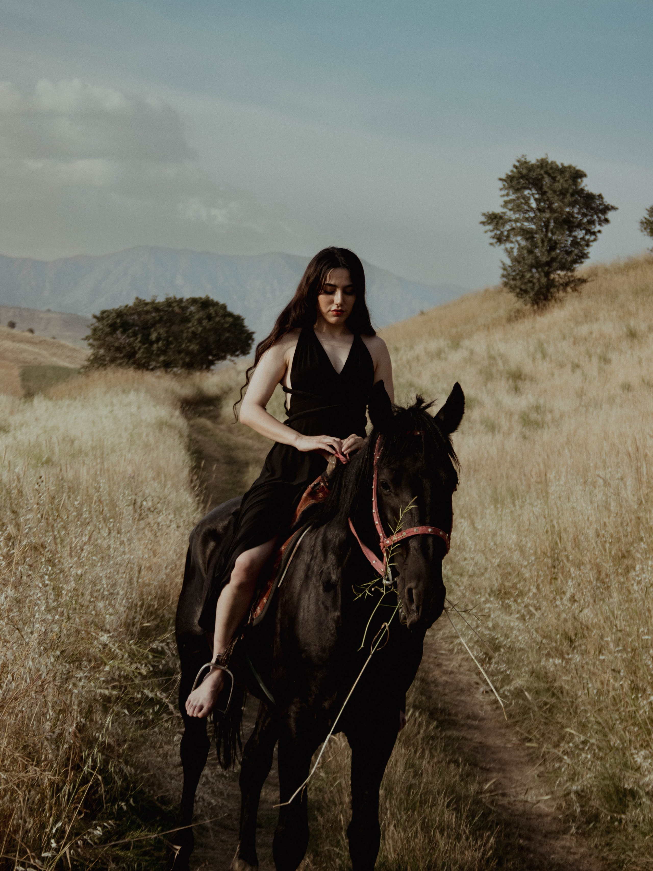 Foto-creator Alisa Zobova