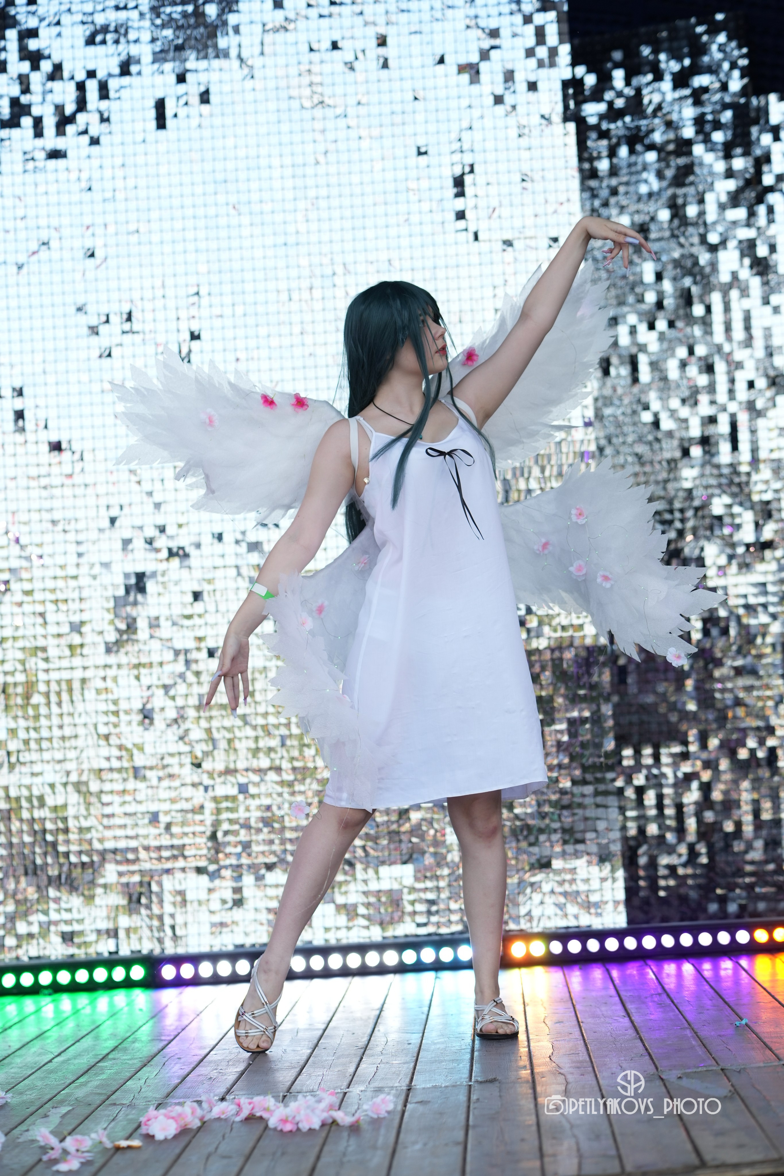 «Золотой Дракон». Фотограф, видеограф Пятигорск, Ставрополь, Ессентуки, Petlyakovs_photo