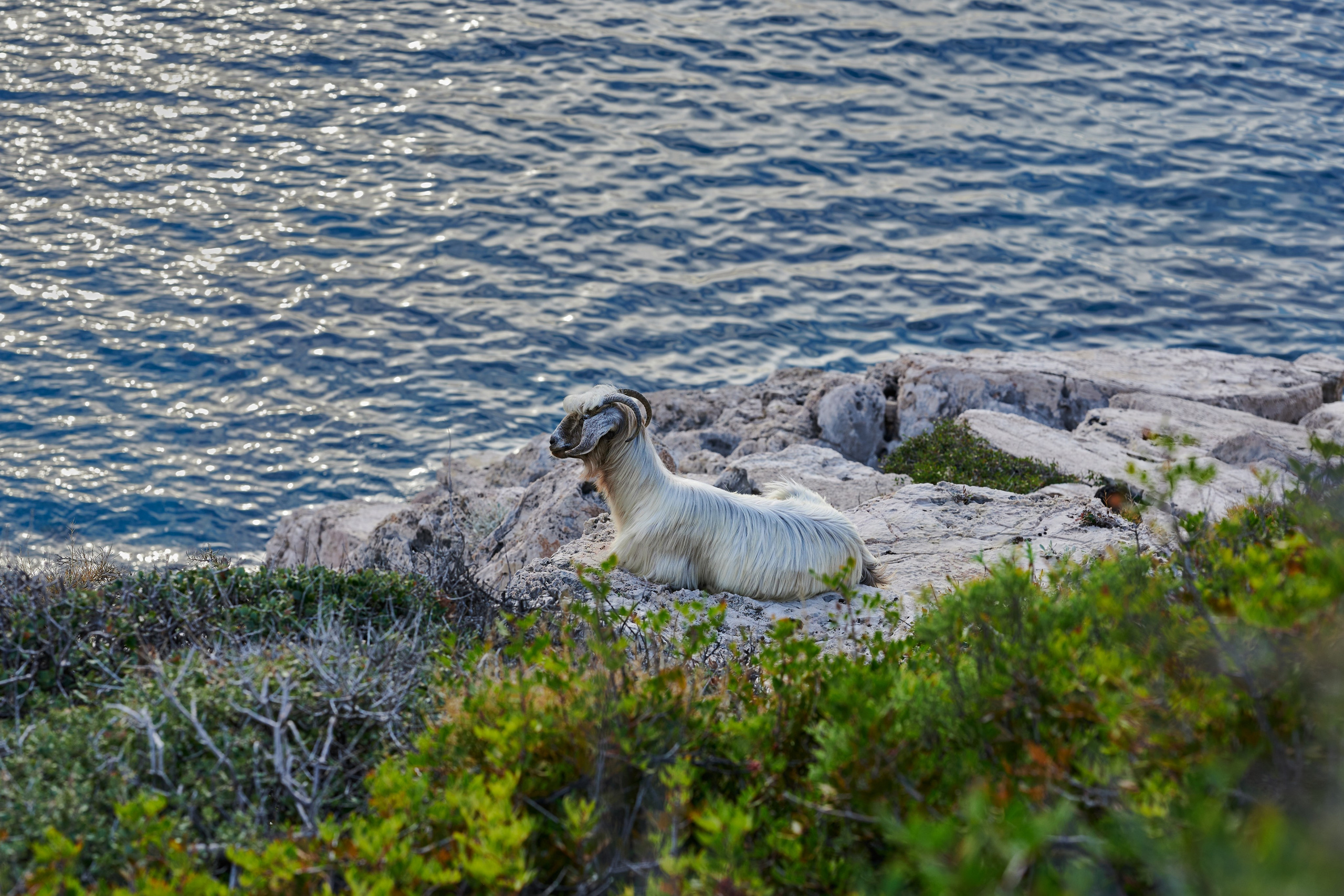 Photographer Yulia Lushnikova, Based in Valencia