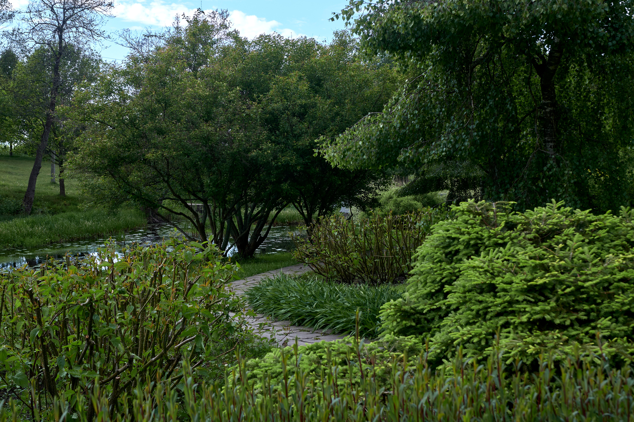 Ландшафтный и интерьерный фотограф Наталья Соловьева. Фотосъемка усадьбы Ореховно в Псковской области | interioto