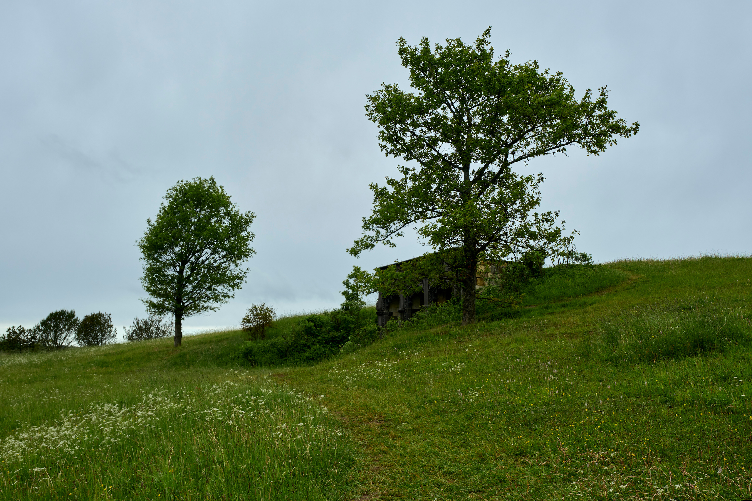 Ландшафтный и интерьерный фотограф Наталья Соловьева. Фотосъемка усадьбы Ореховно в Псковской области | interioto