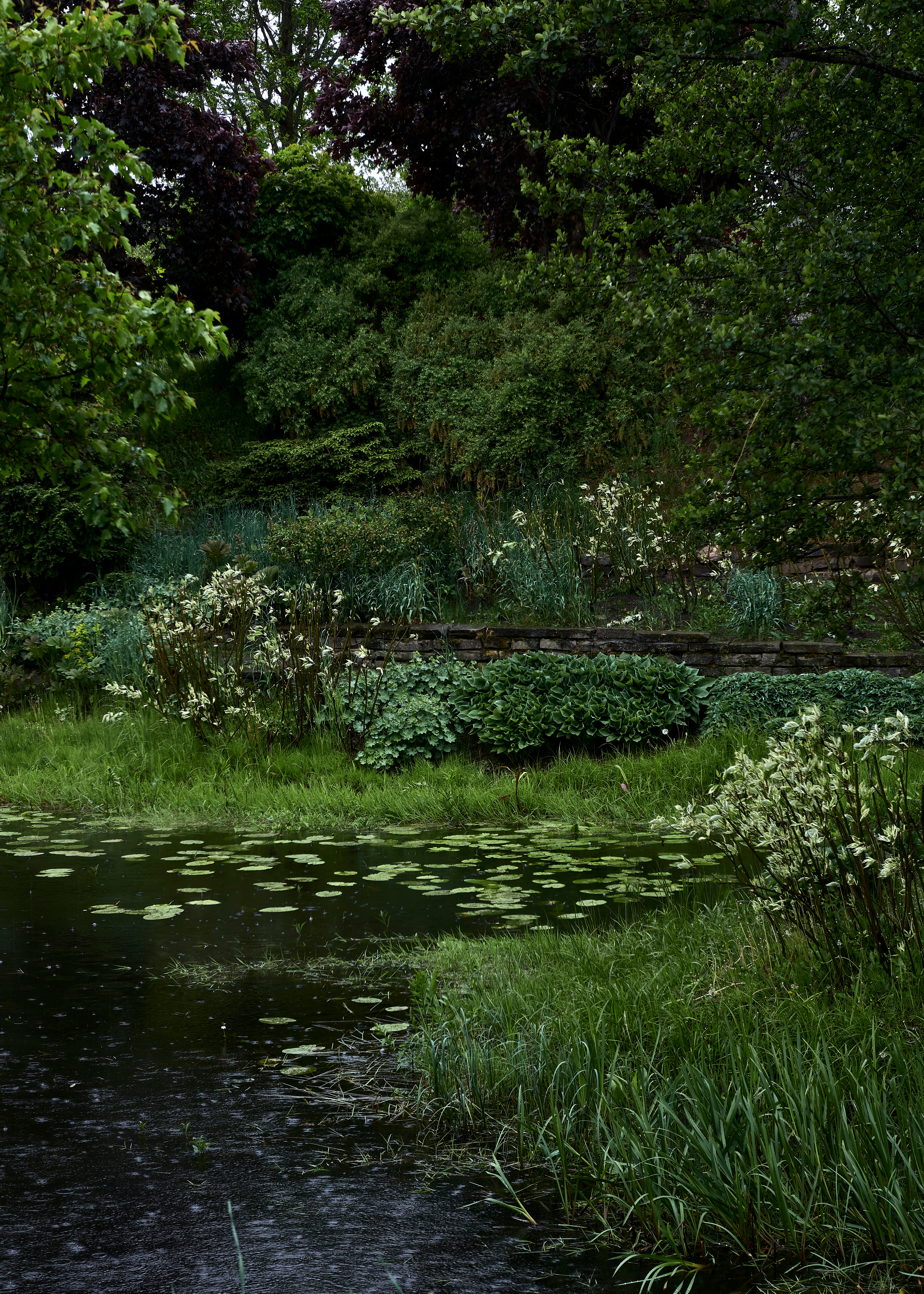 Ландшафтный и интерьерный фотограф Наталья Соловьева. Фотосъемка усадьбы Ореховно в Псковской области | interioto