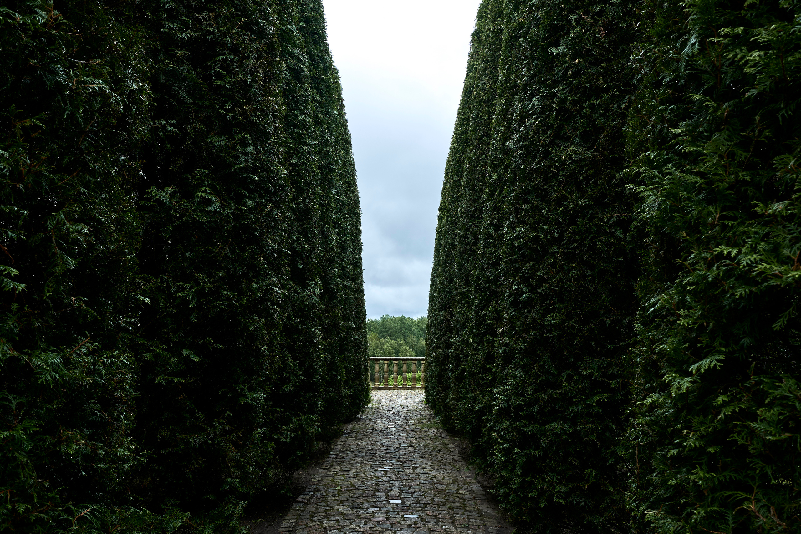 Ландшафтный и интерьерный фотограф Наталья Соловьева. Фотосъемка усадьбы Ореховно в Псковской области | interioto